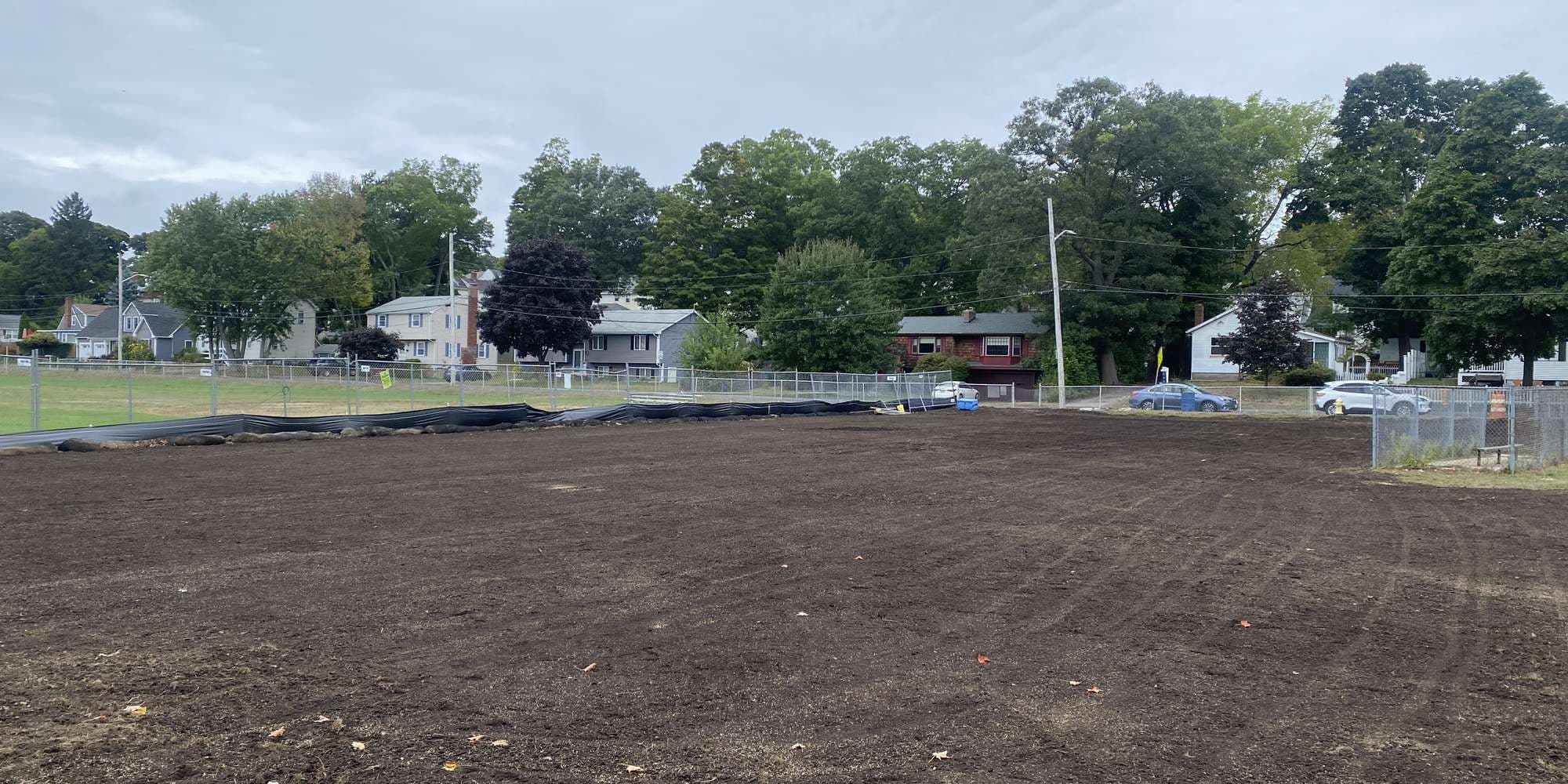 Second image to compare