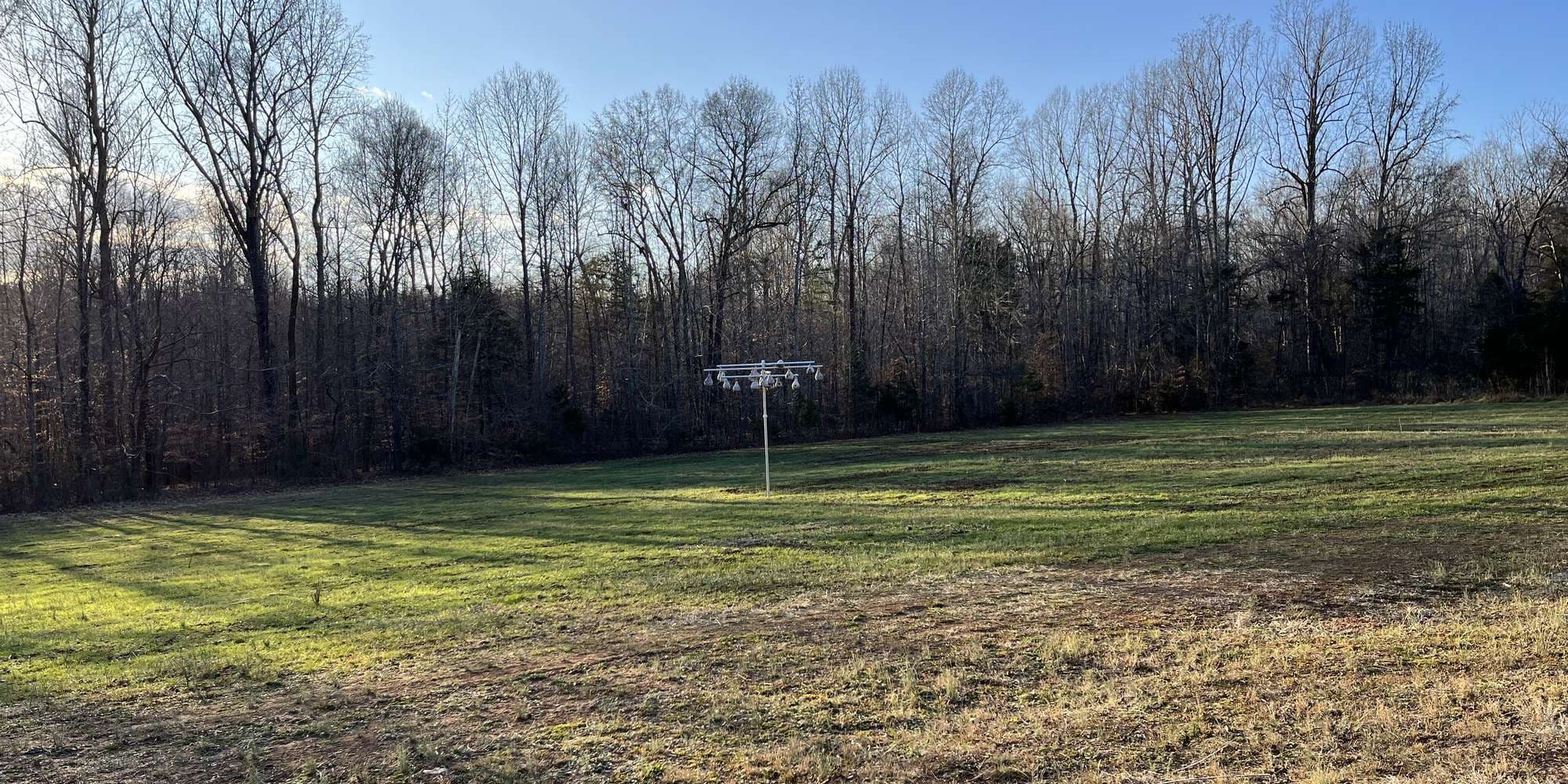 Second image to compare