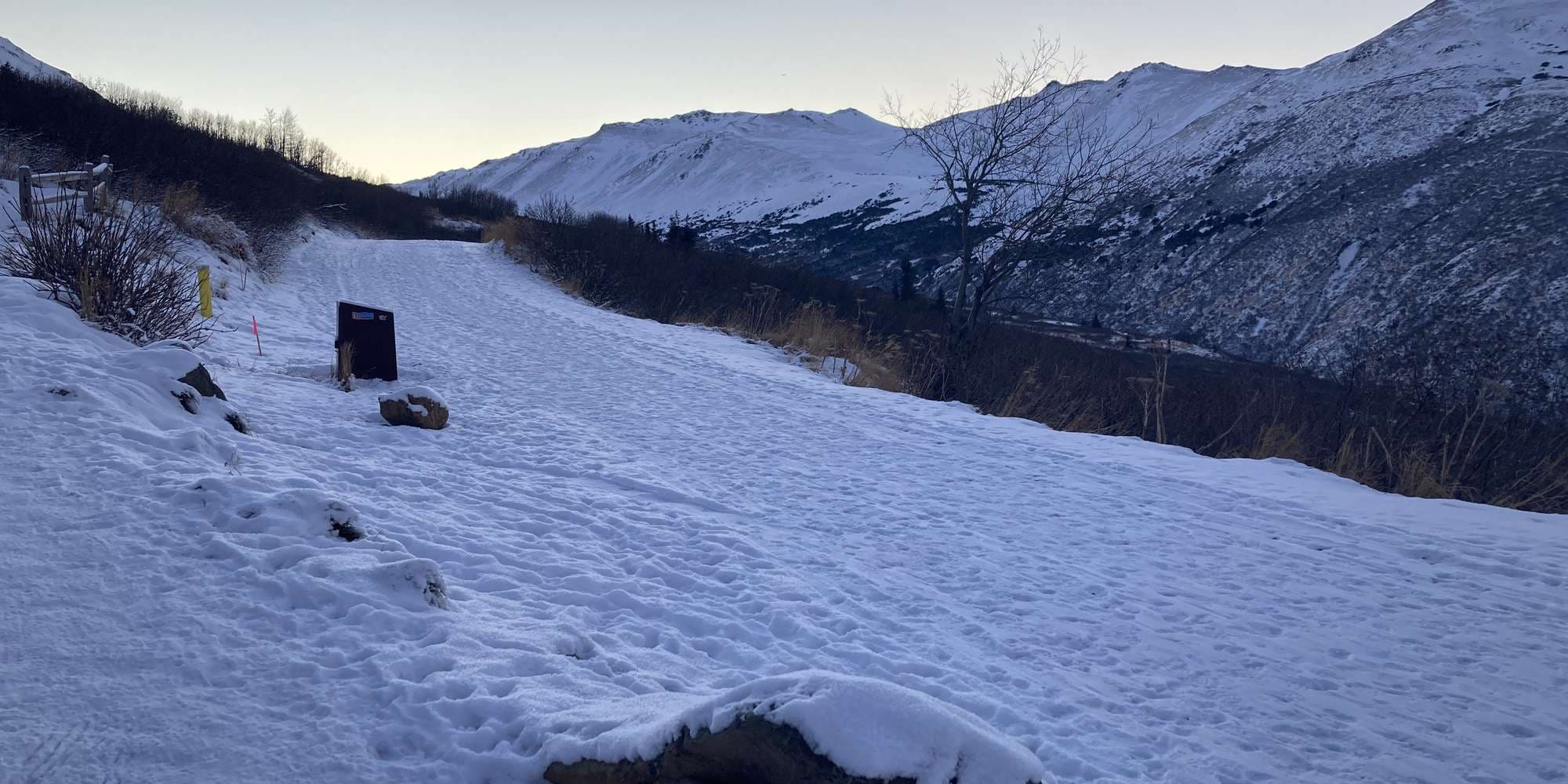 Second image to compare