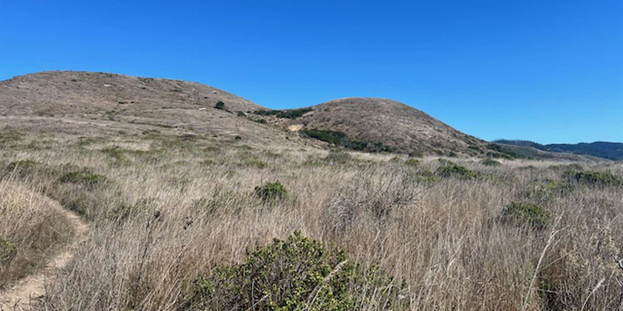 Second image to compare