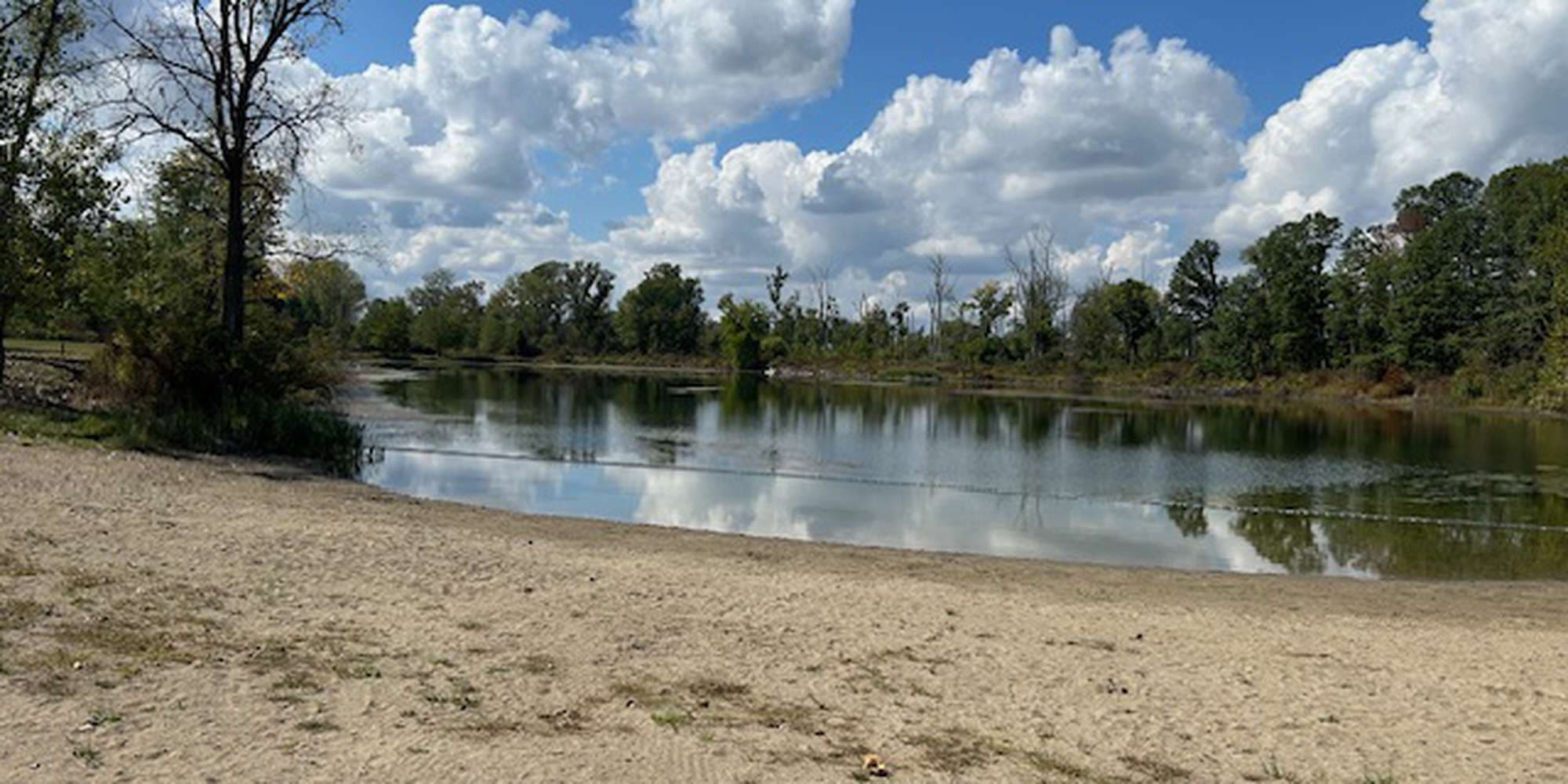 Second image to compare