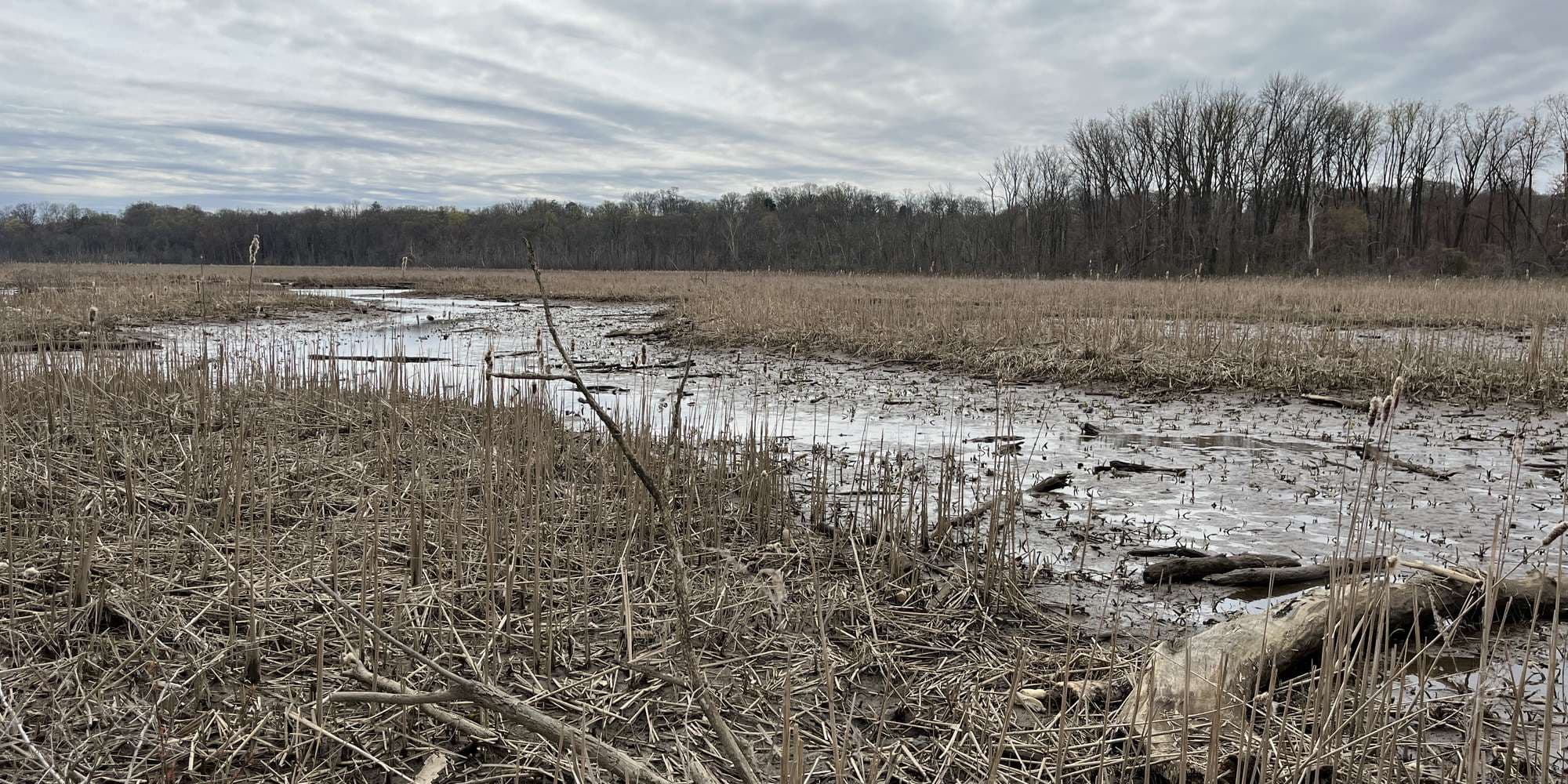 First image to compare