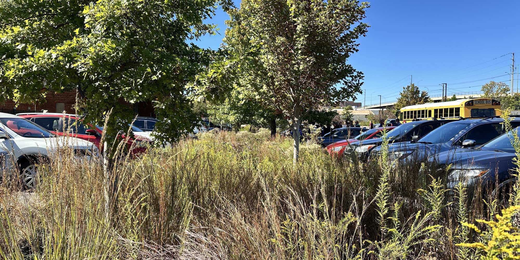 Second image to compare