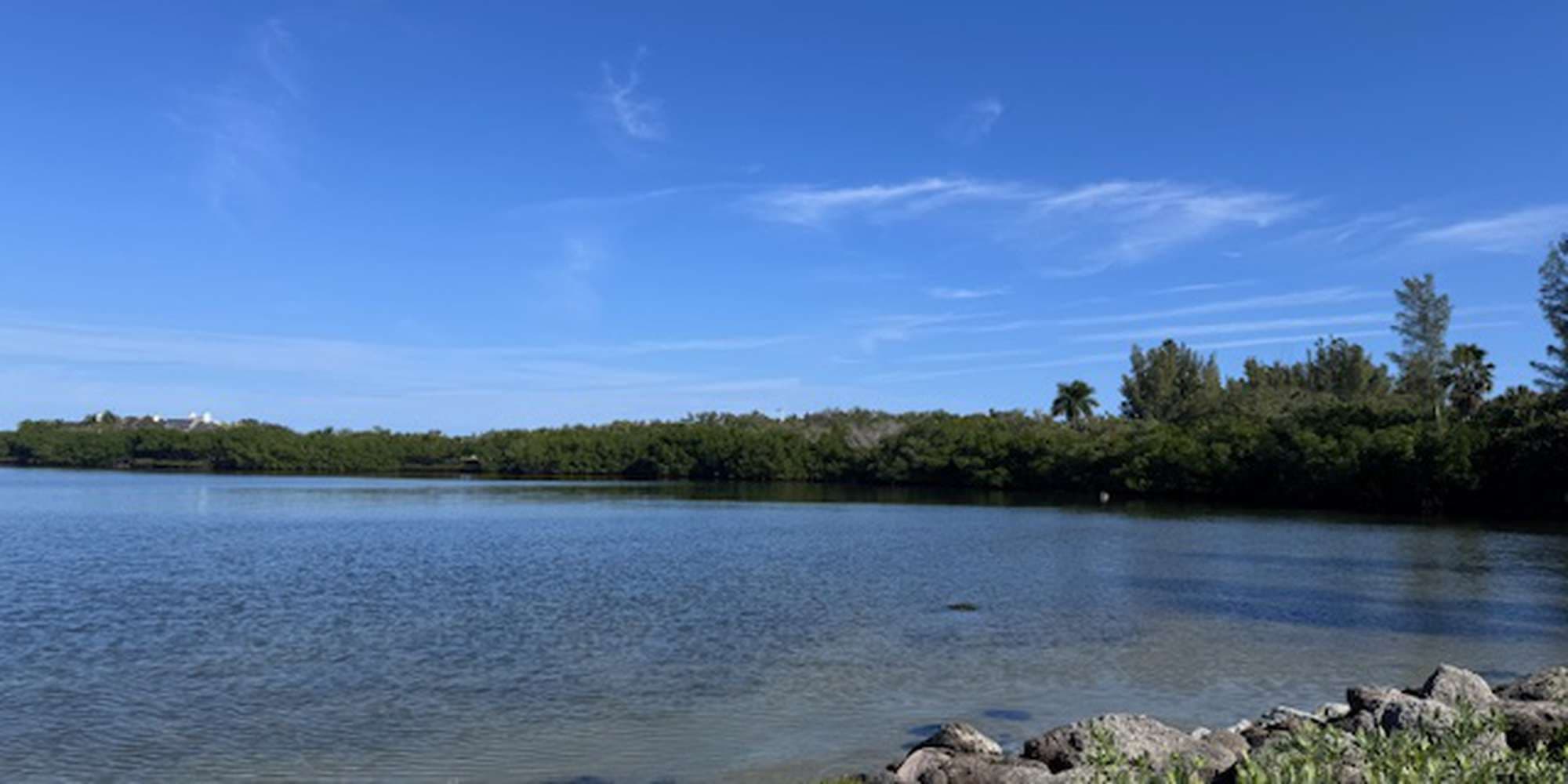 Second image to compare