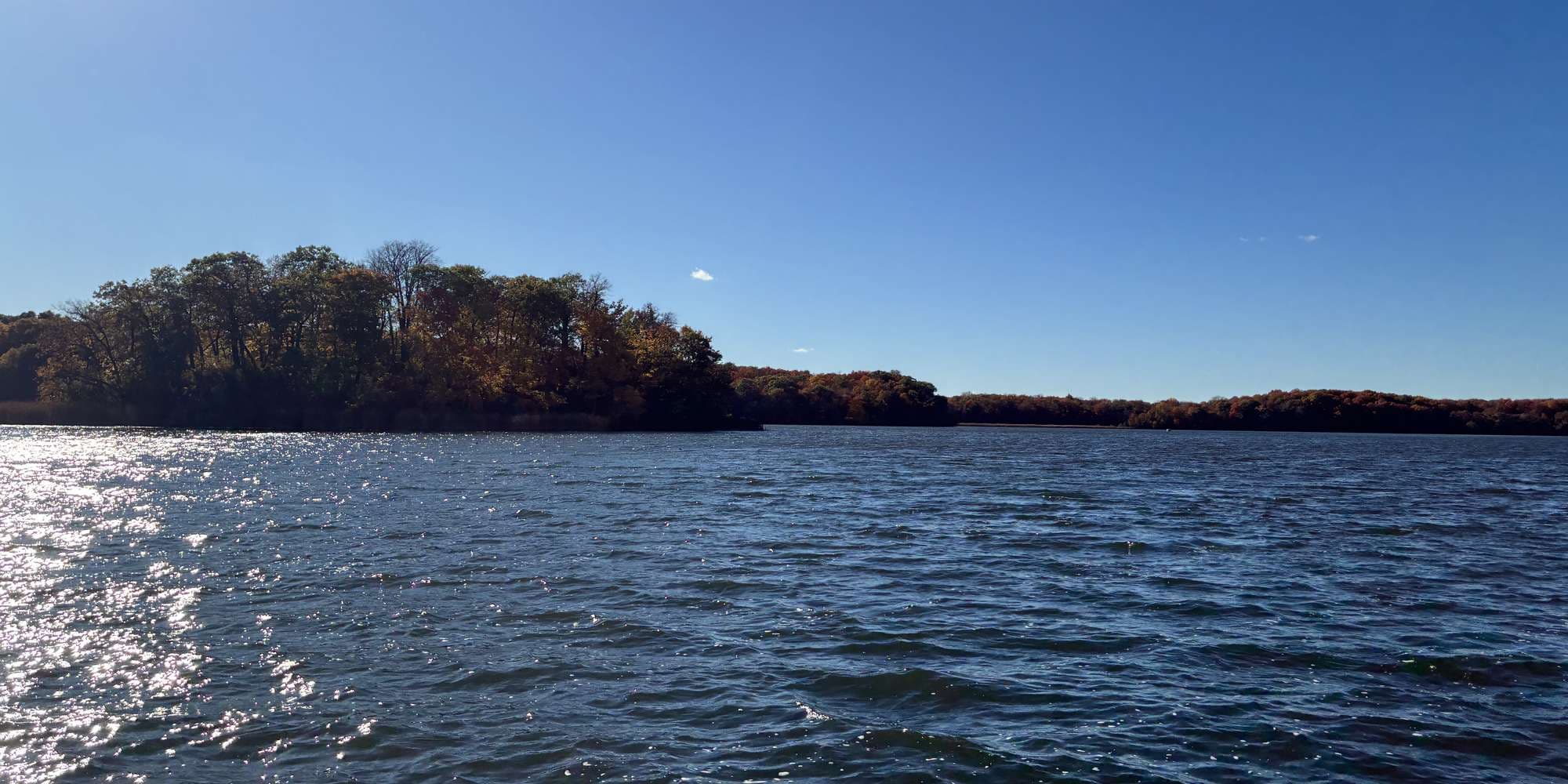 Second image to compare