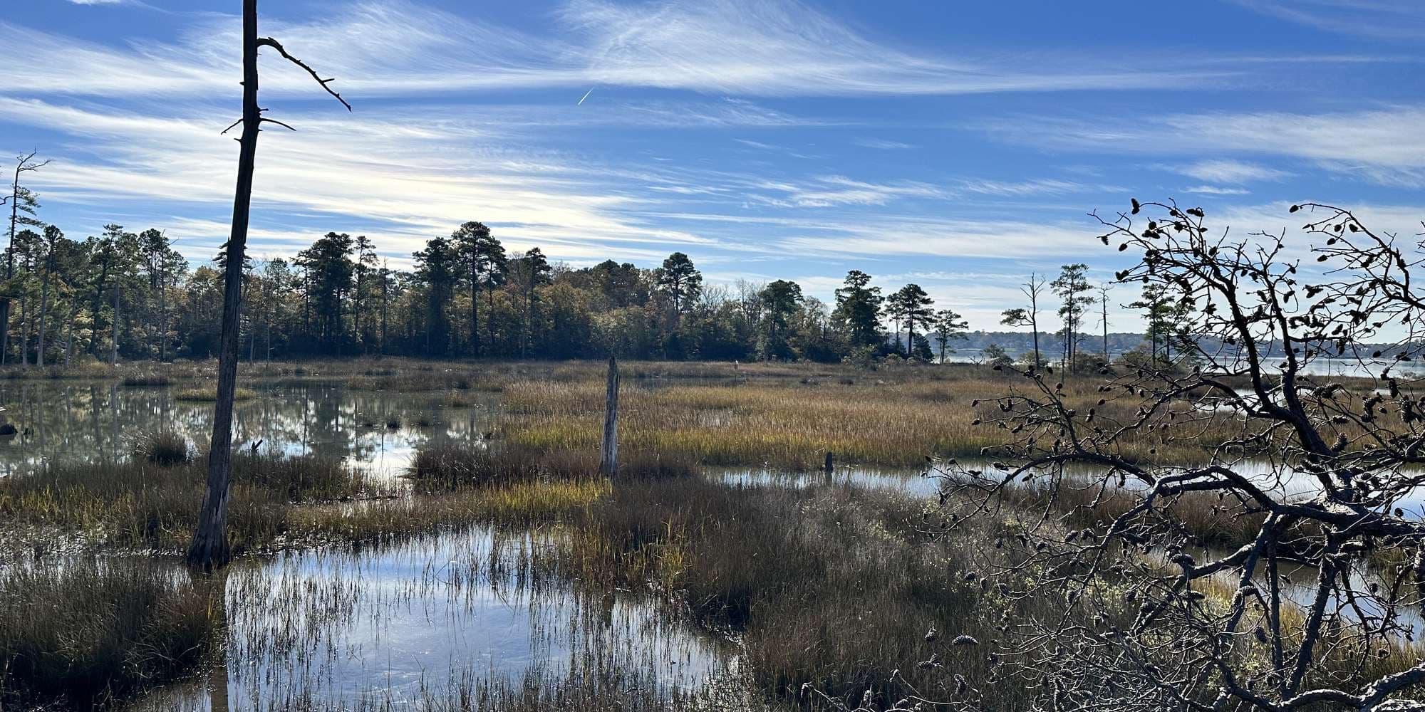 First image to compare