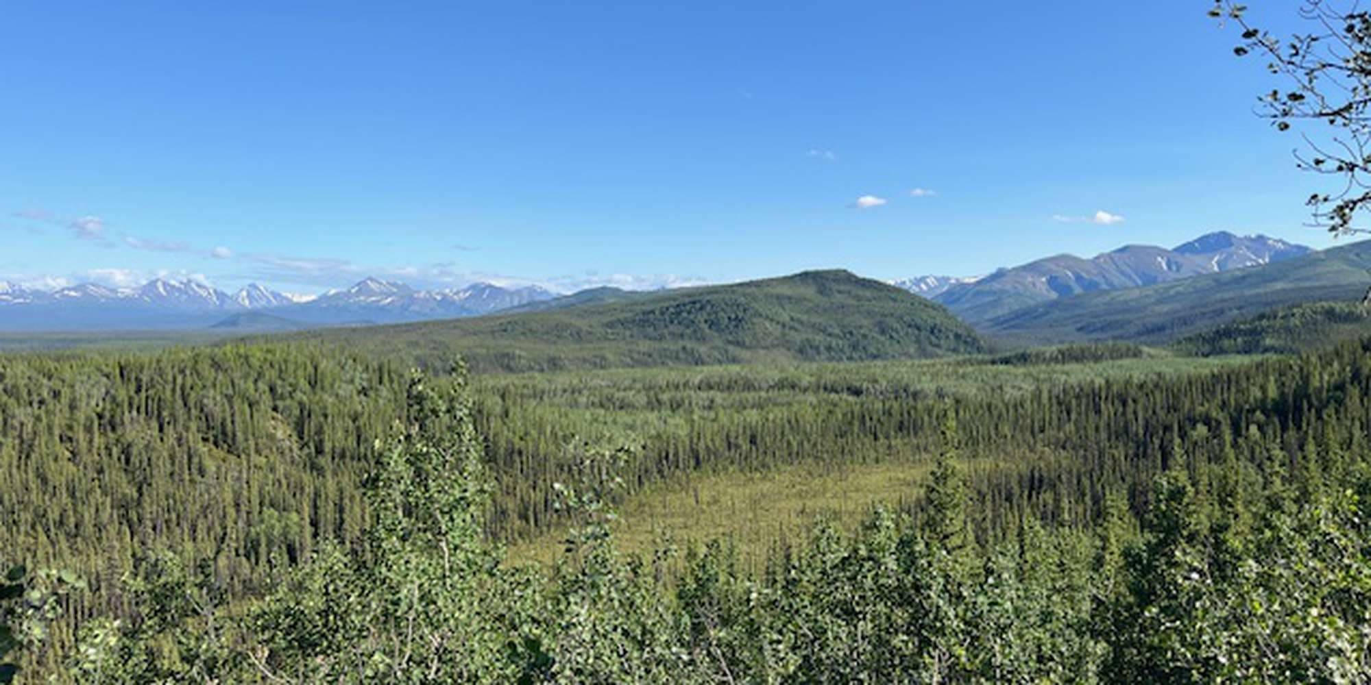 First image to compare