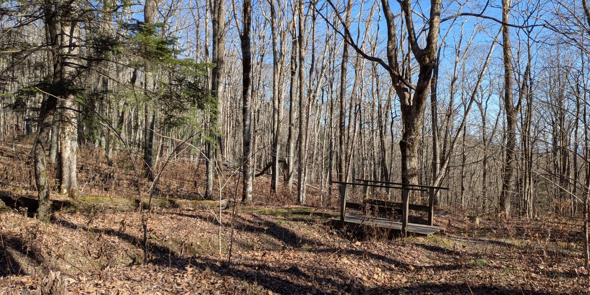 Second image to compare