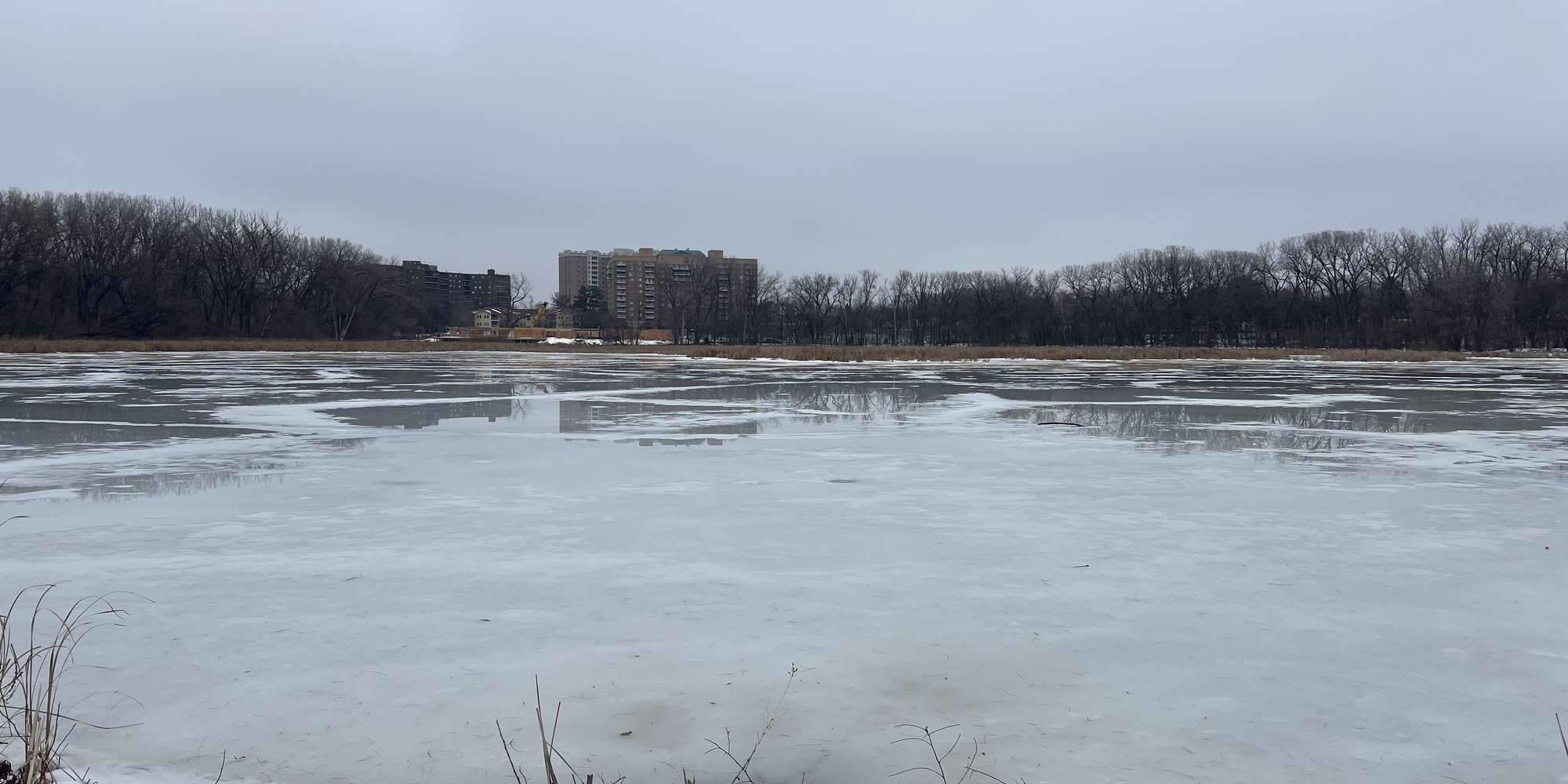 Second image to compare