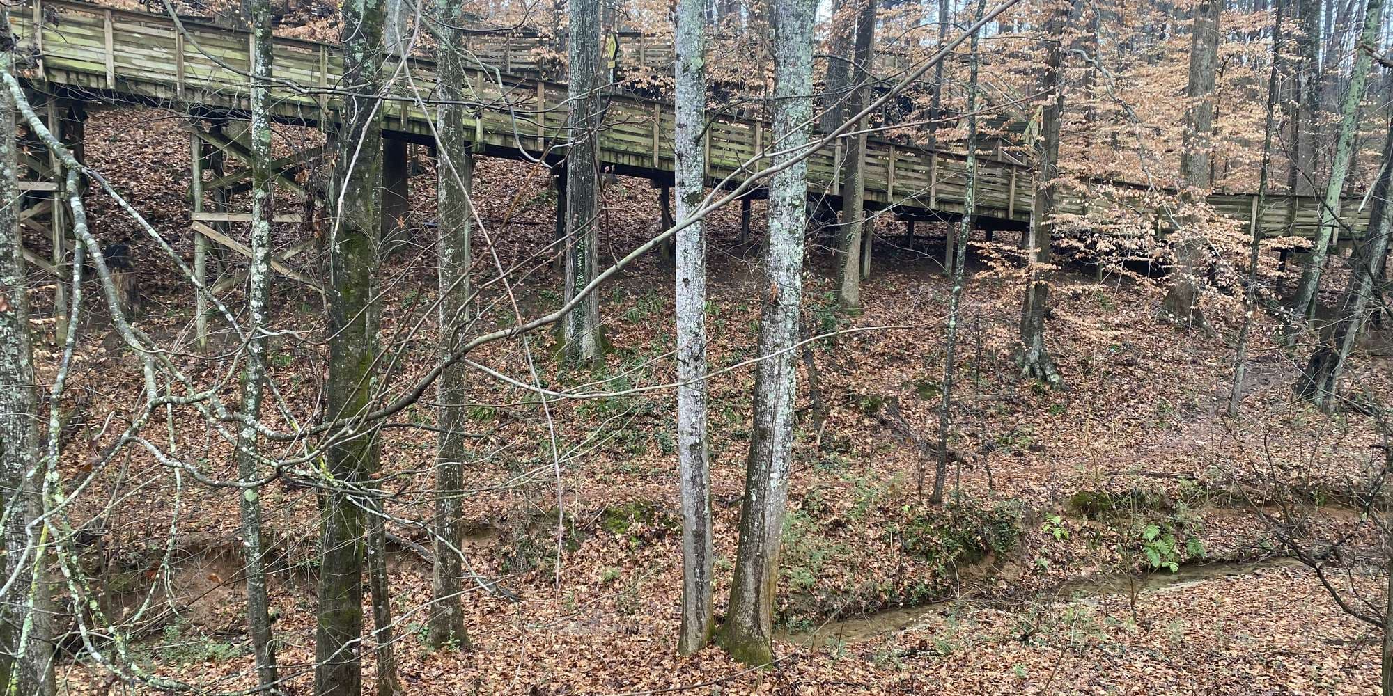 Second image to compare