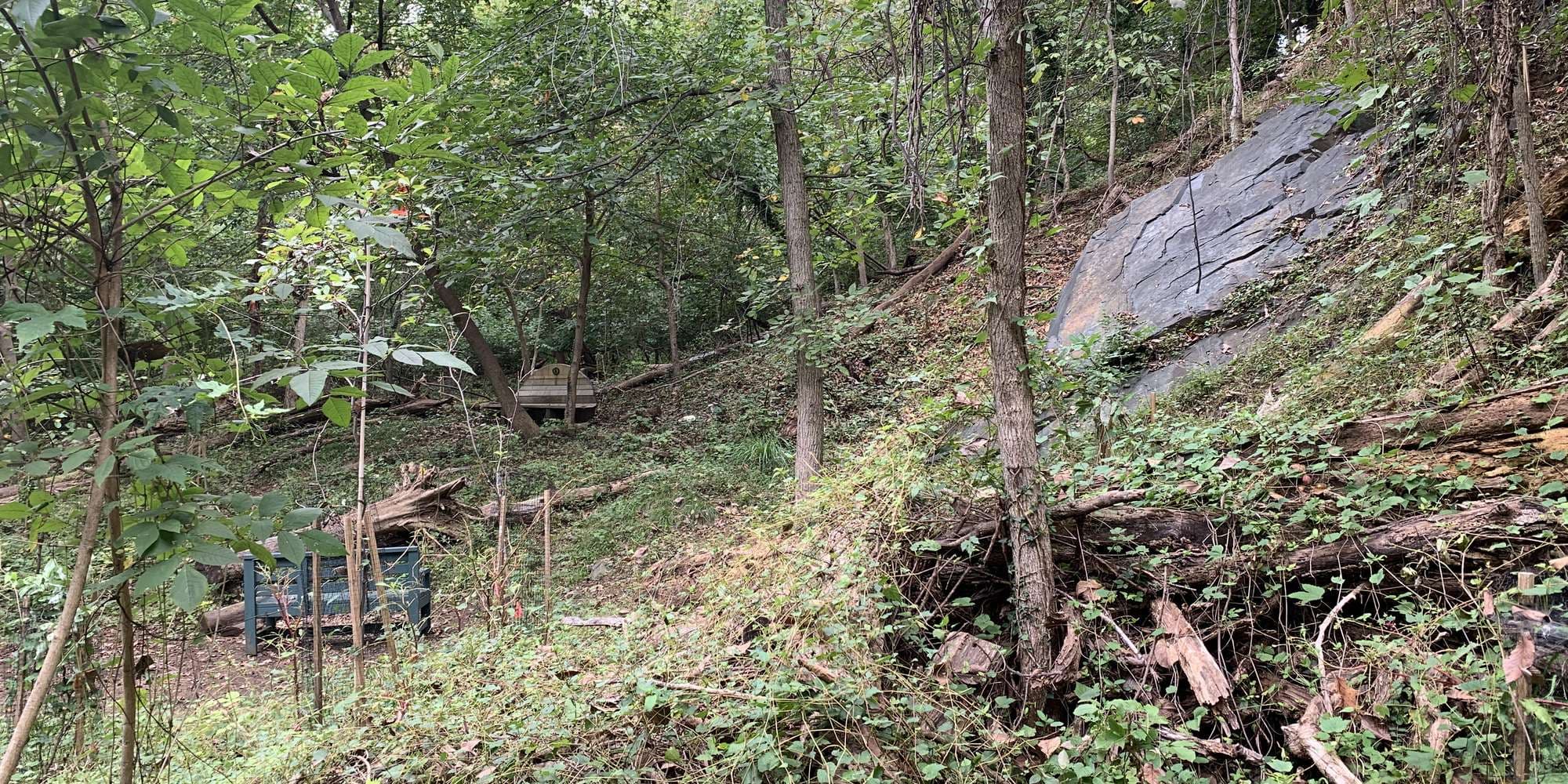 Second image to compare