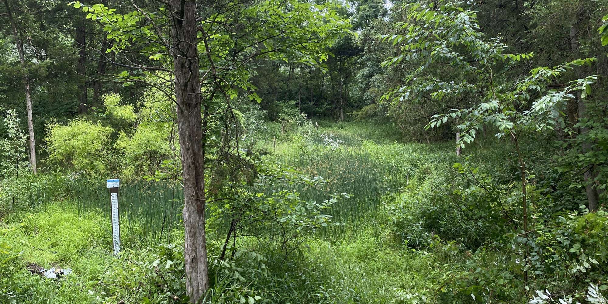 First image to compare