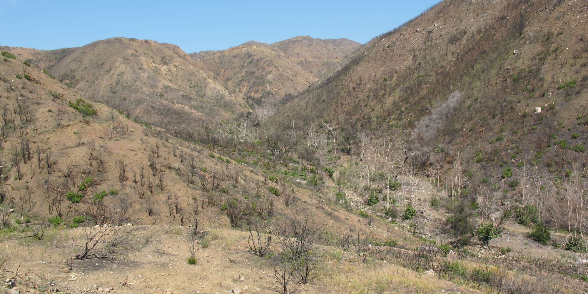 First image to compare