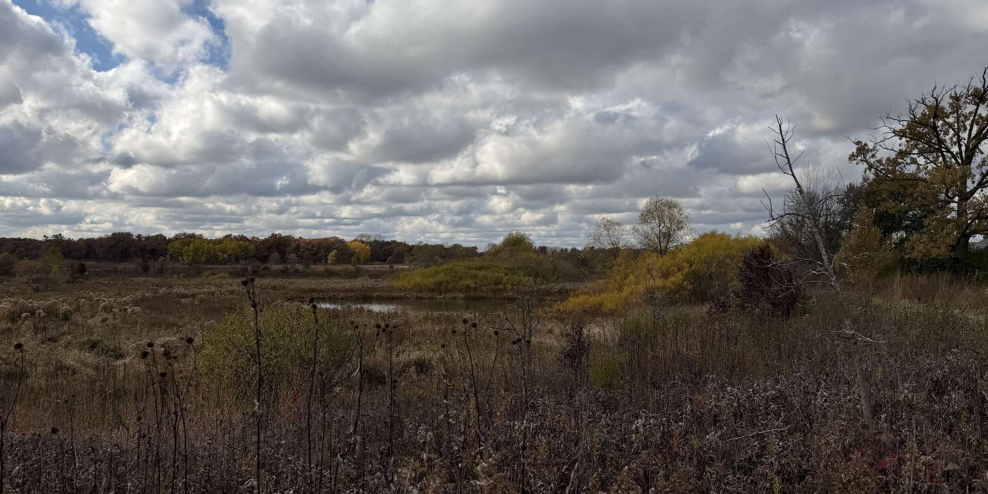 Second image to compare