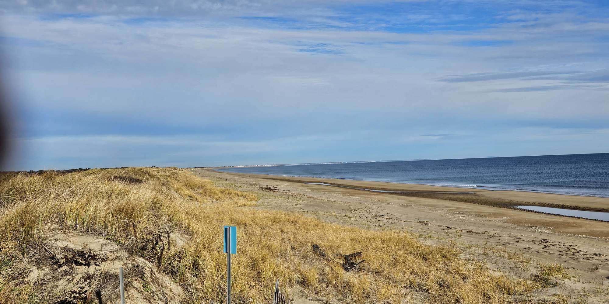 Second image to compare