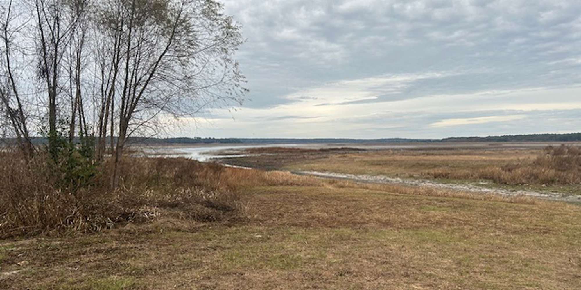 Second image to compare