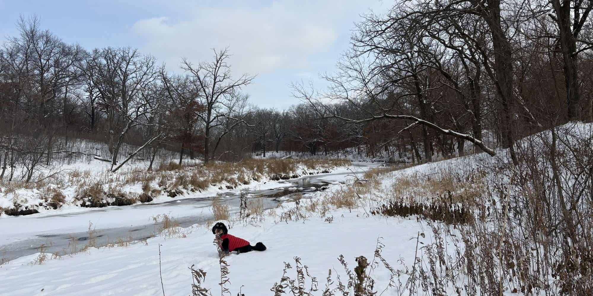 Second image to compare