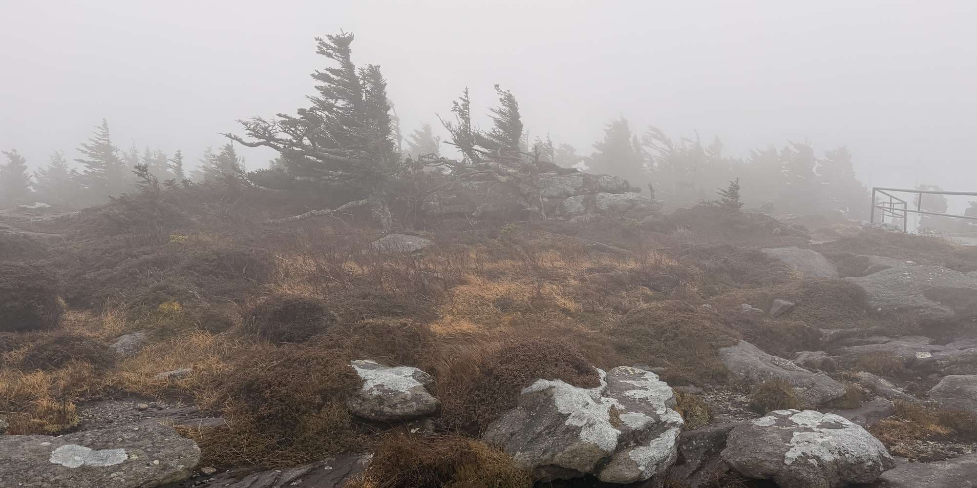 Second image to compare