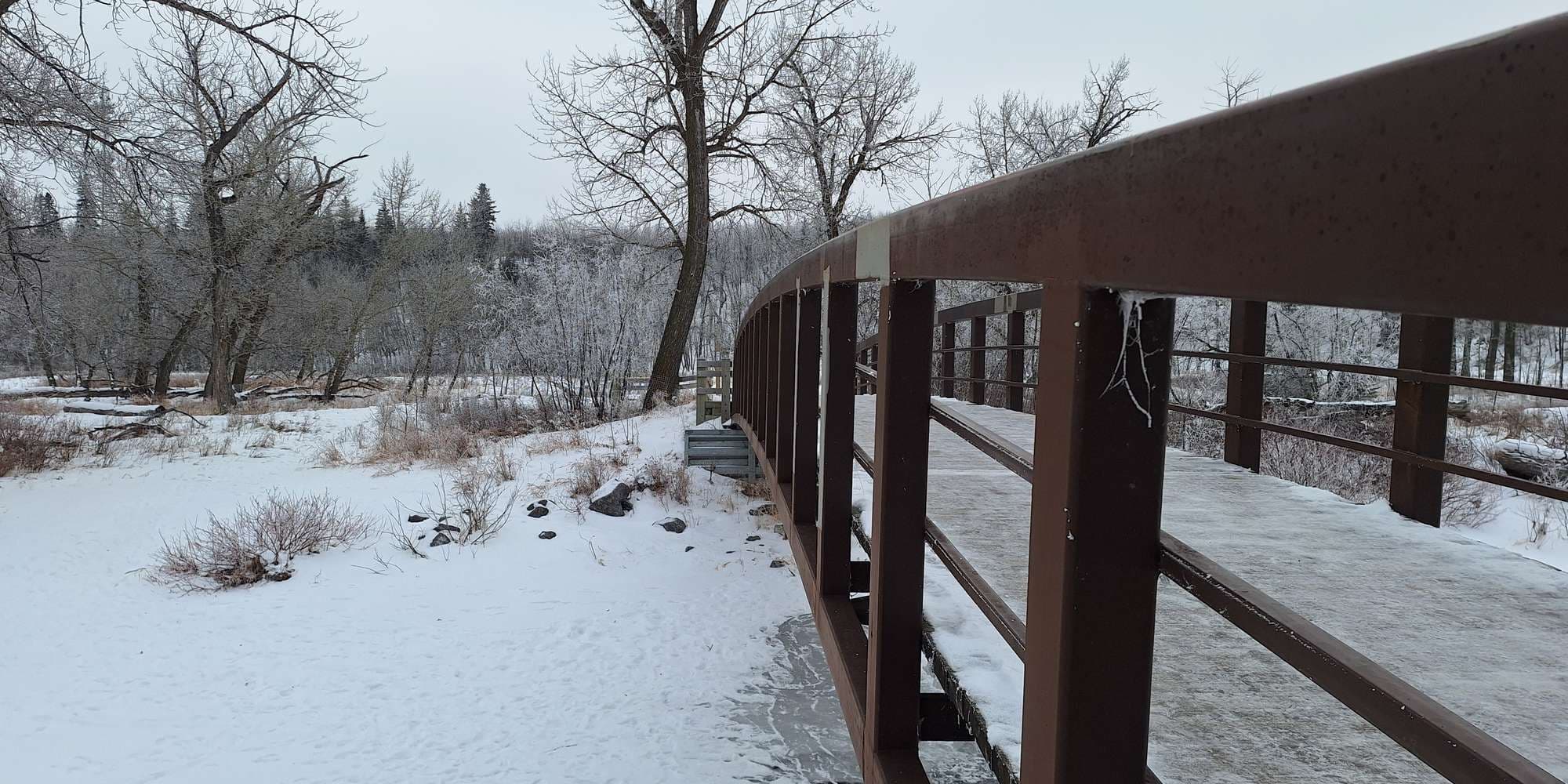 Second image to compare