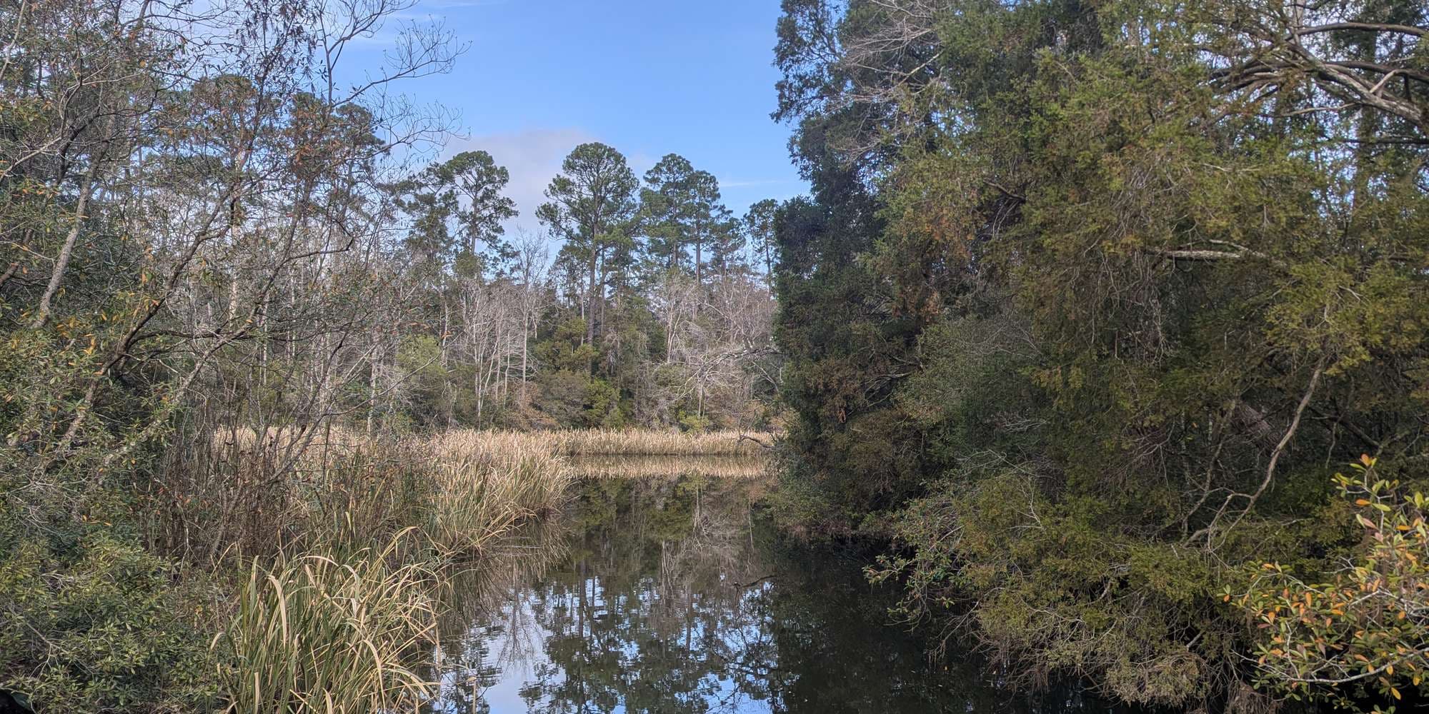 Second image to compare