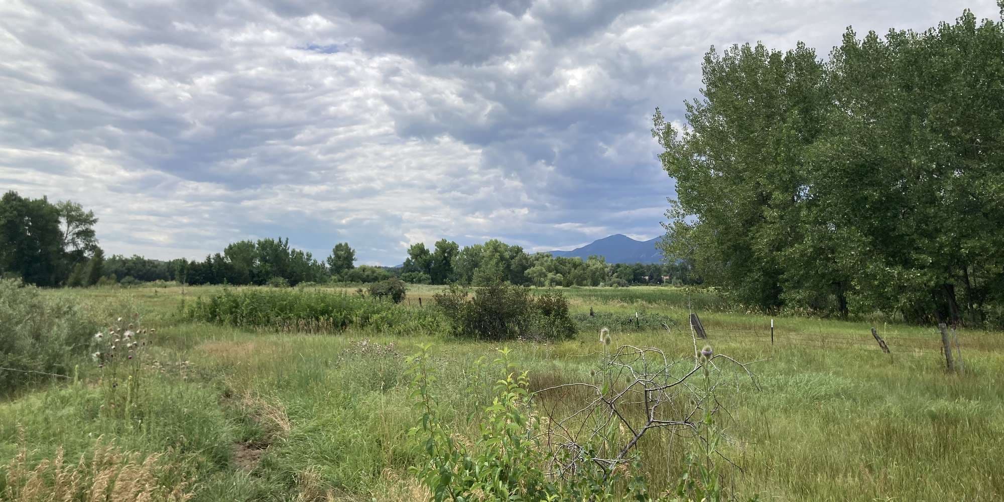 First image to compare