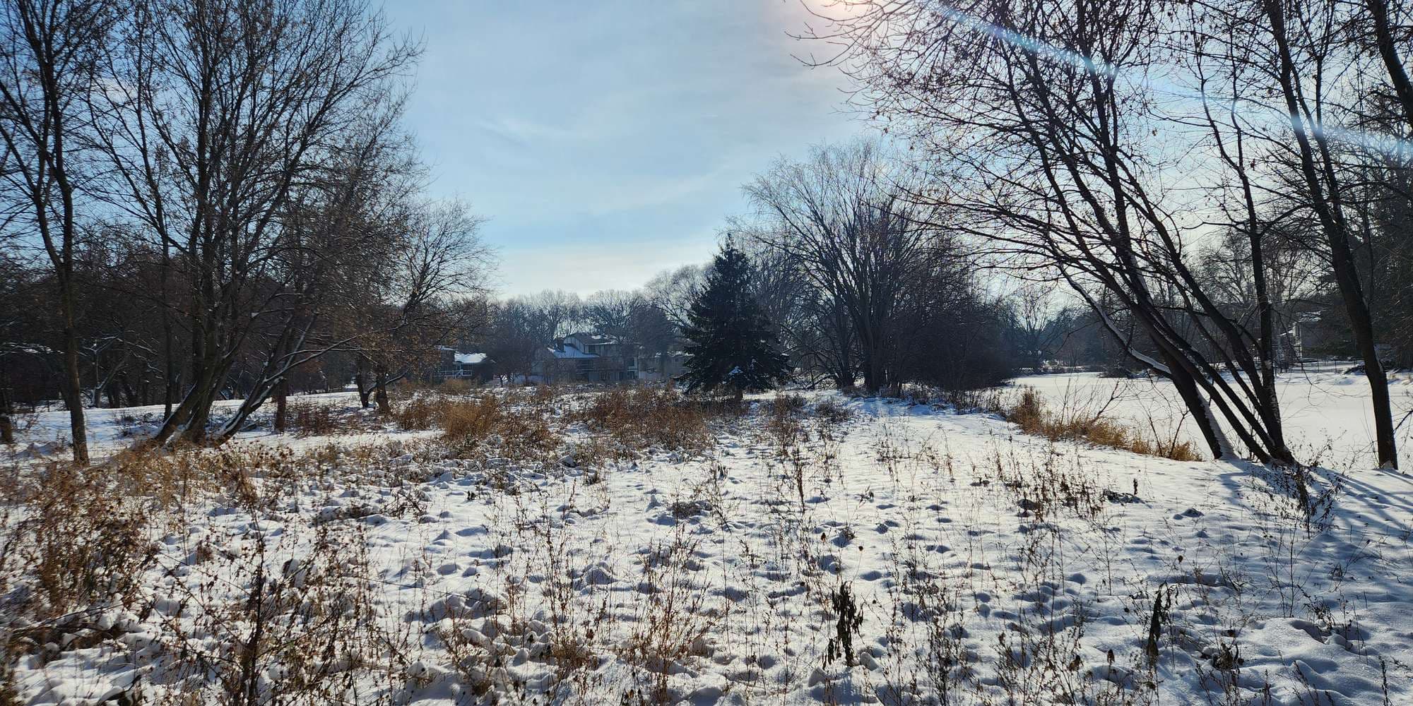 Second image to compare