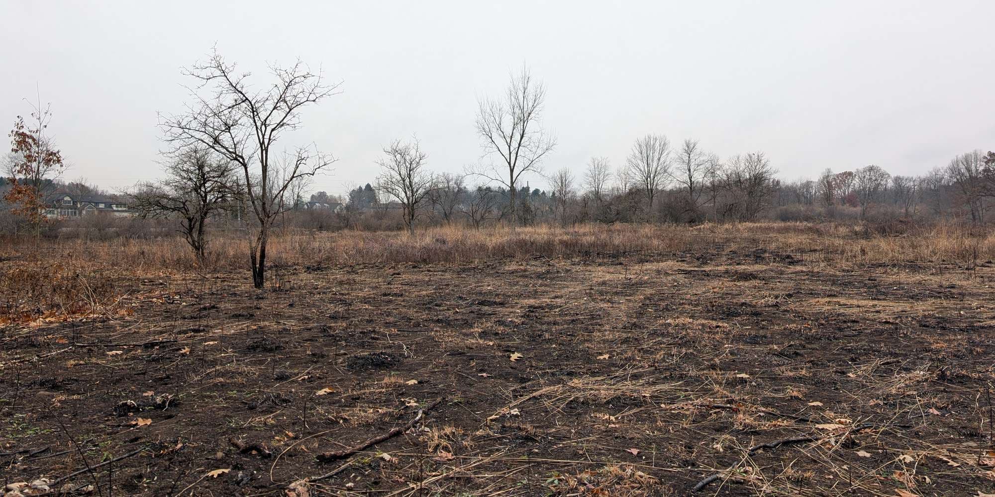 First image to compare