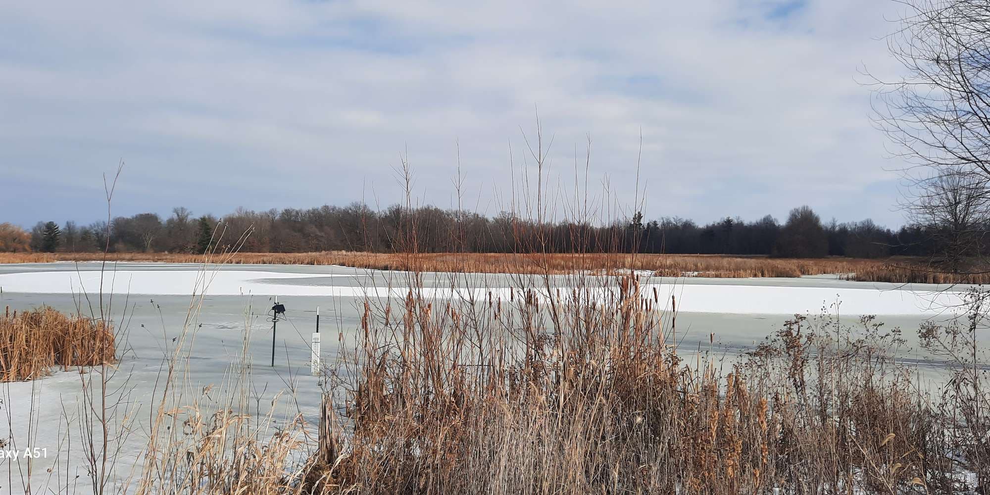 Second image to compare