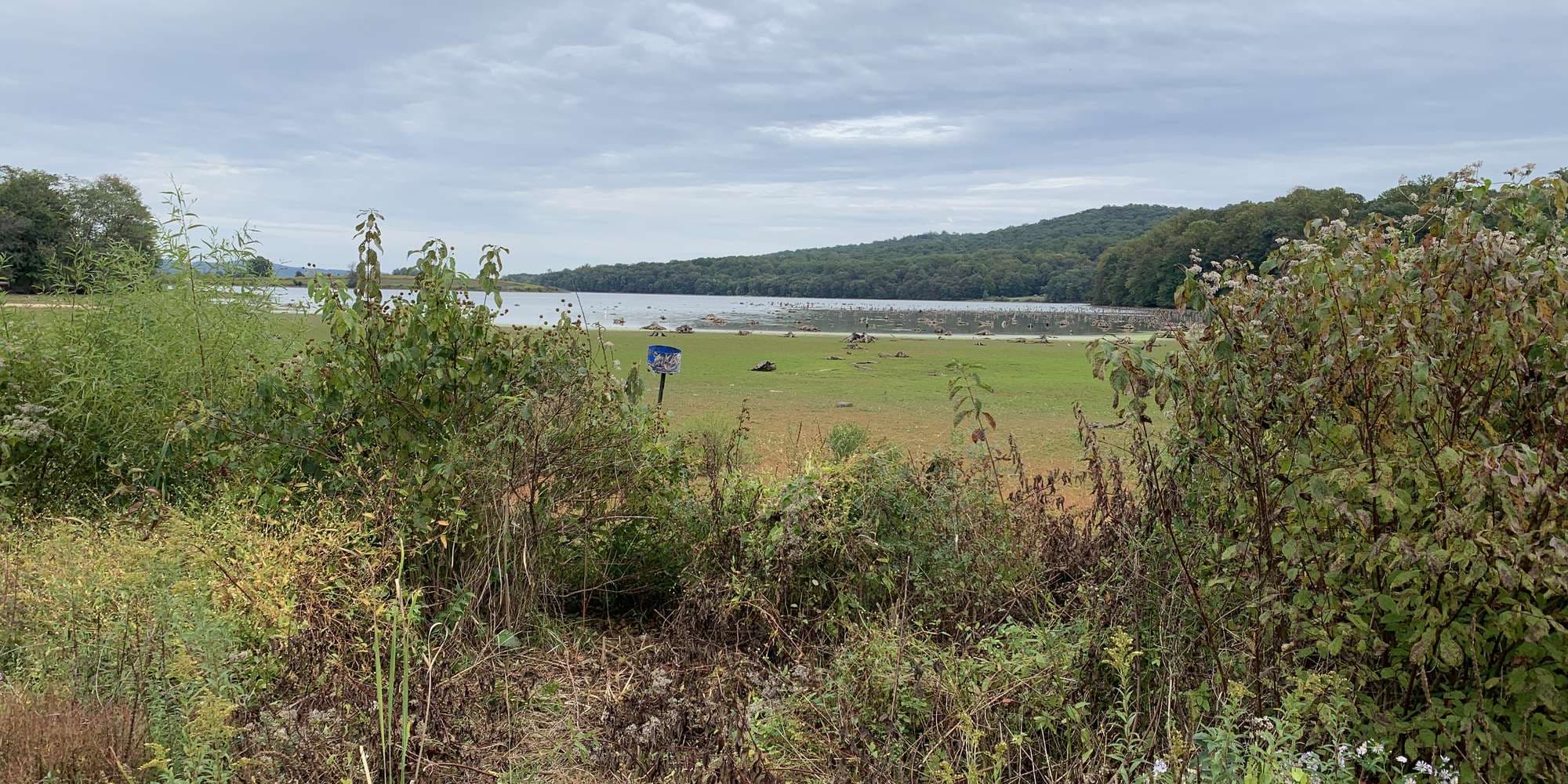 Second image to compare