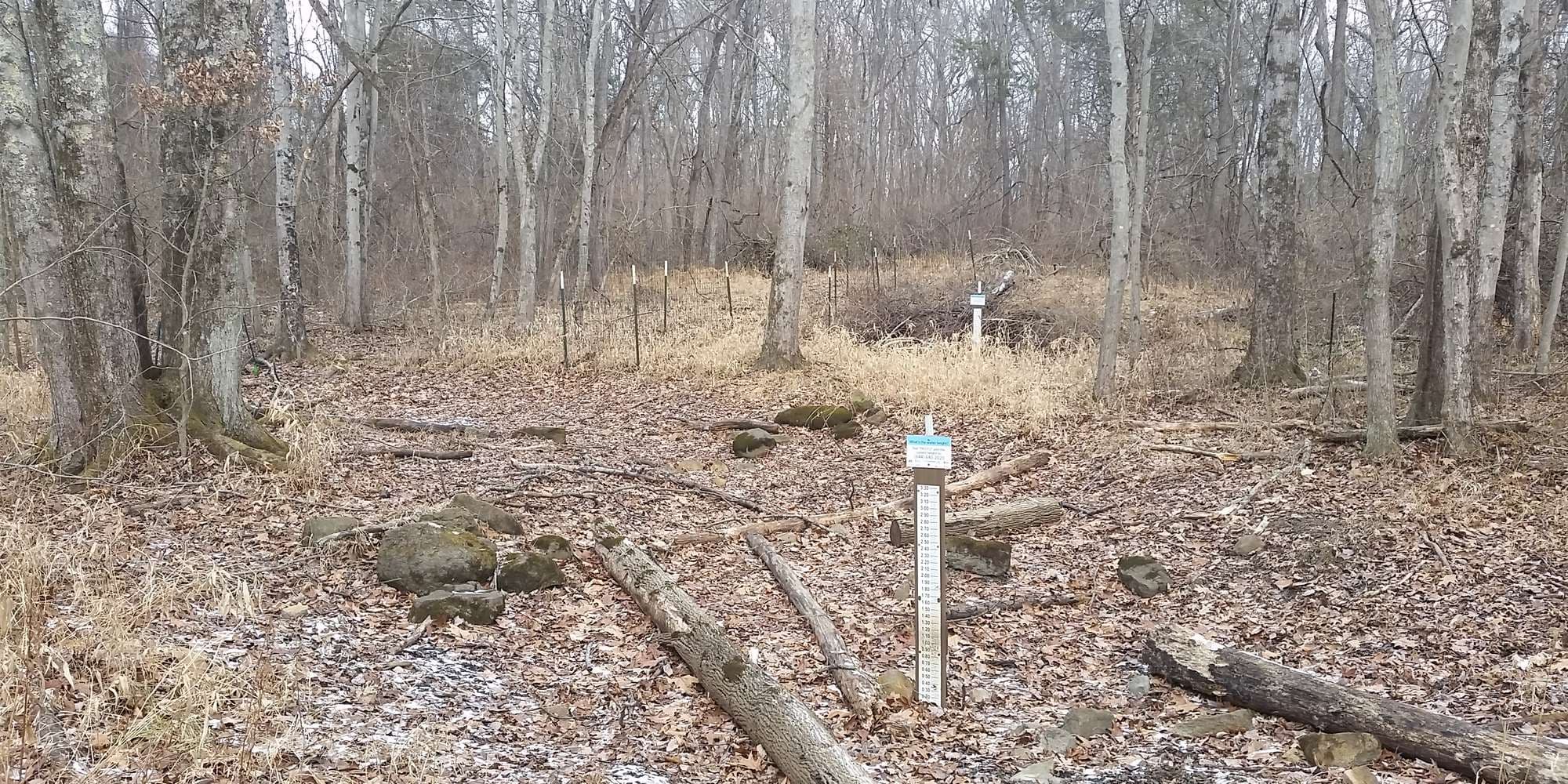 Second image to compare