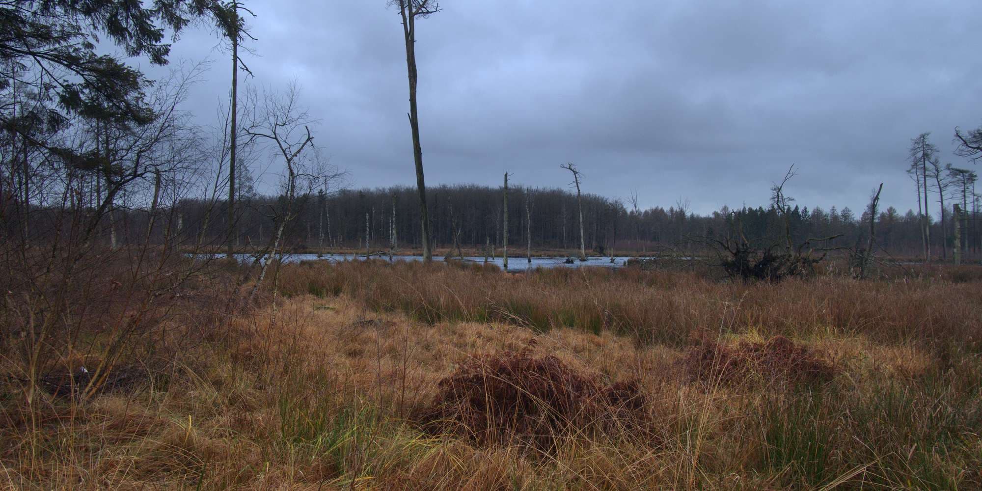 Second image to compare