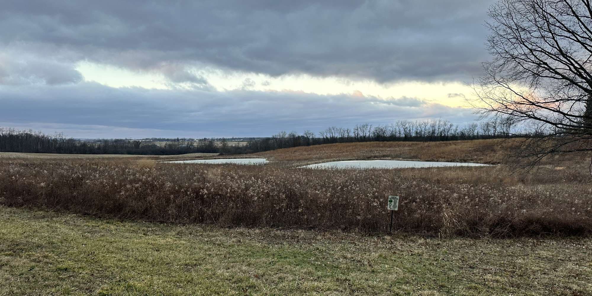 Second image to compare