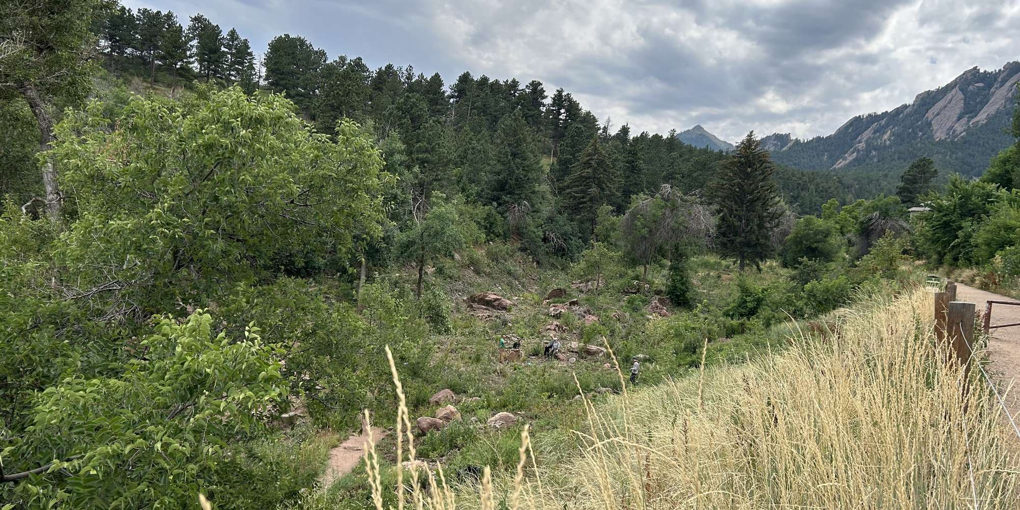 First image to compare