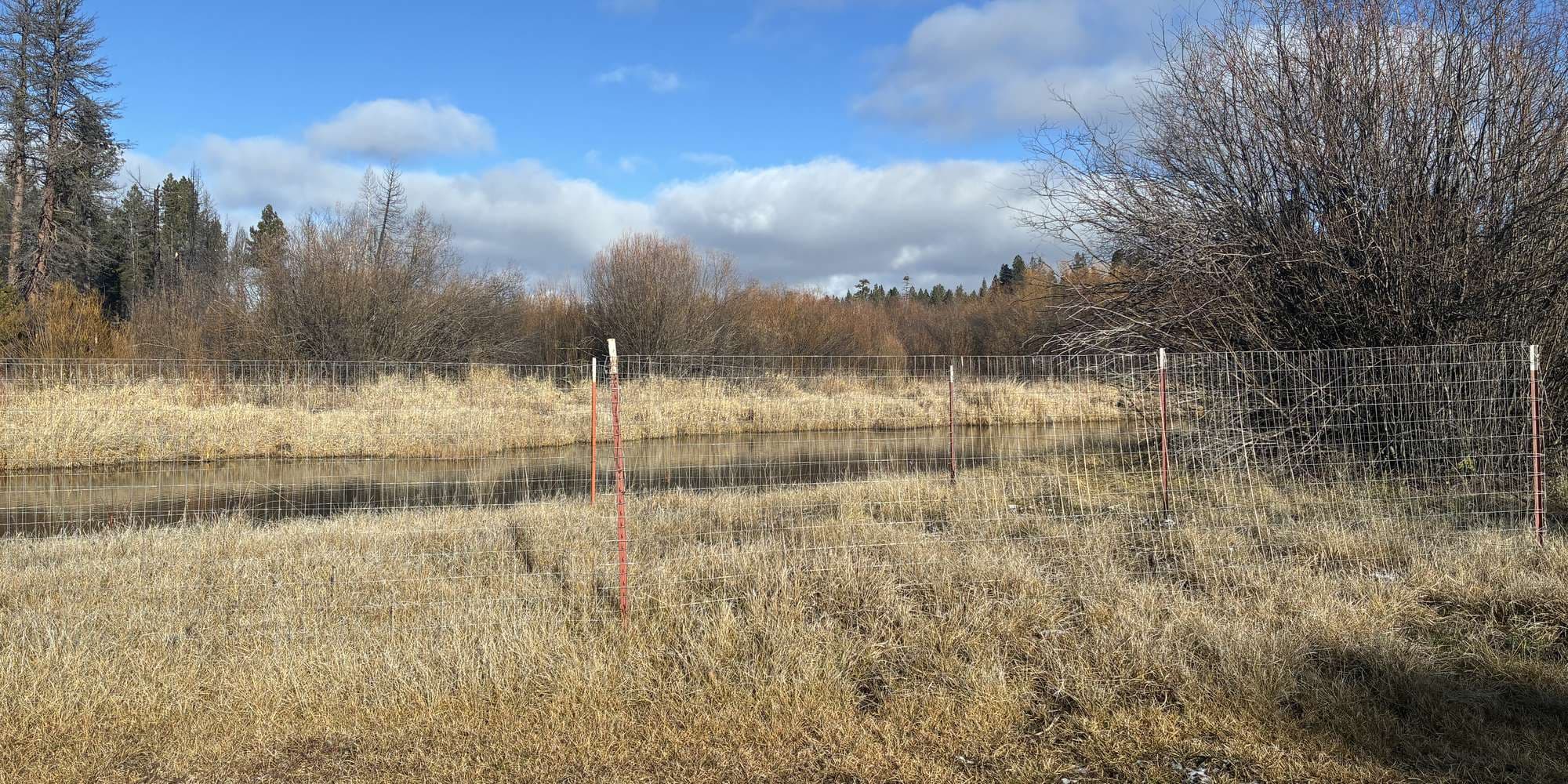 Second image to compare