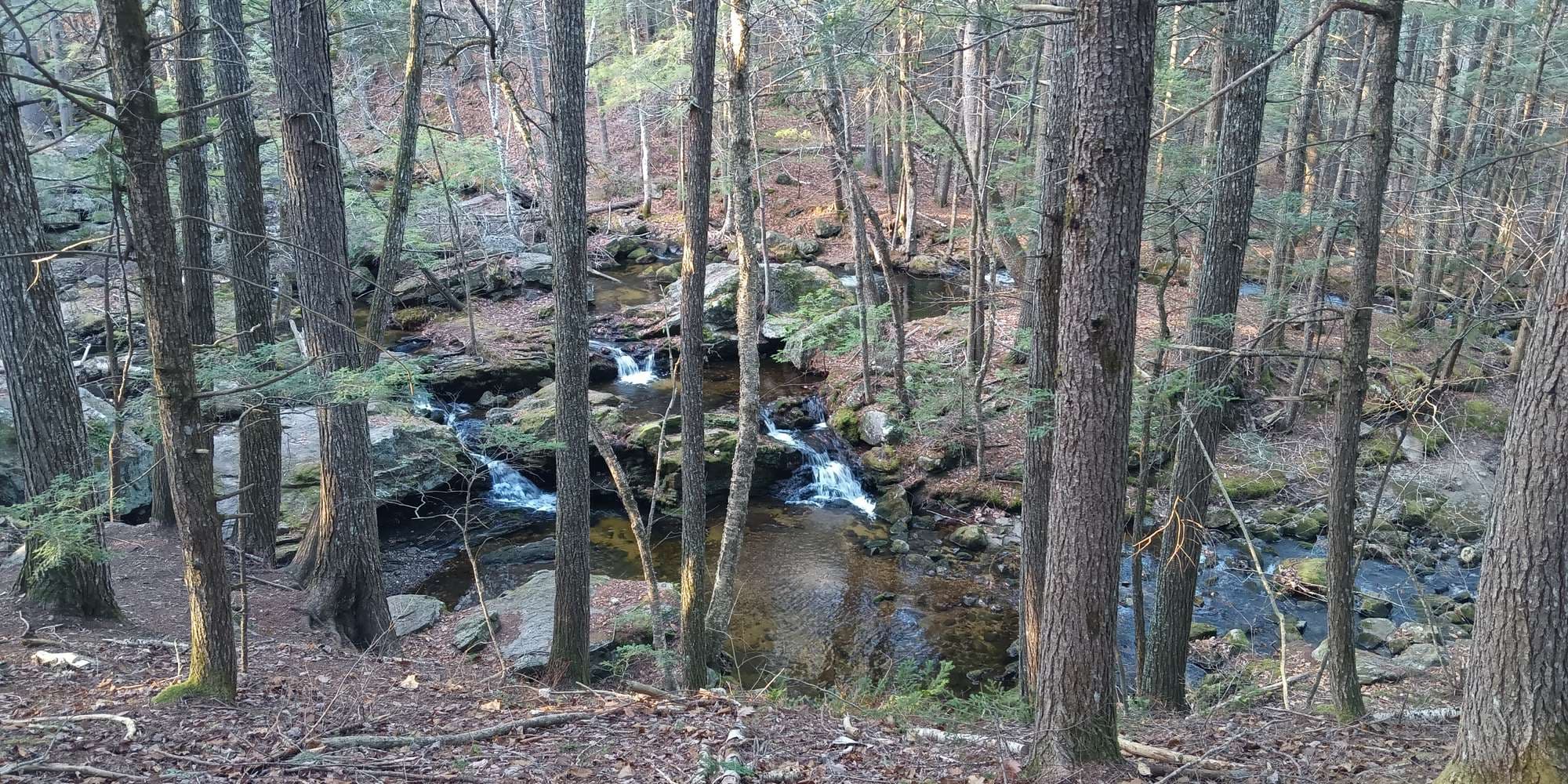 Second image to compare