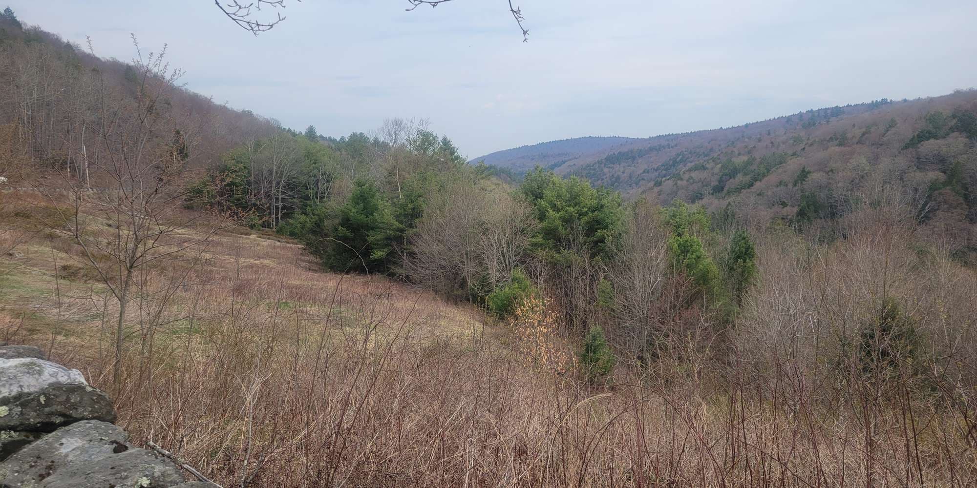 First image to compare