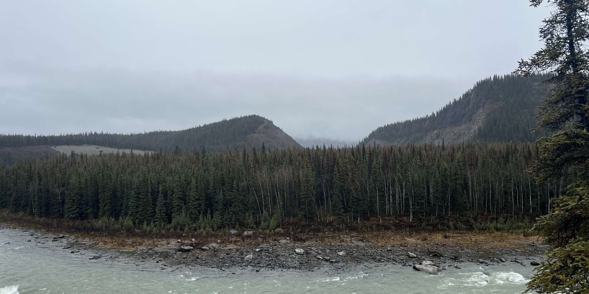 Second image to compare