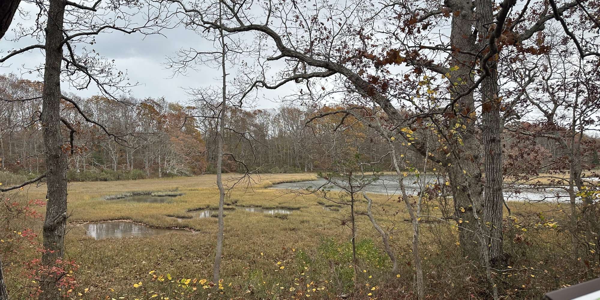 Second image to compare