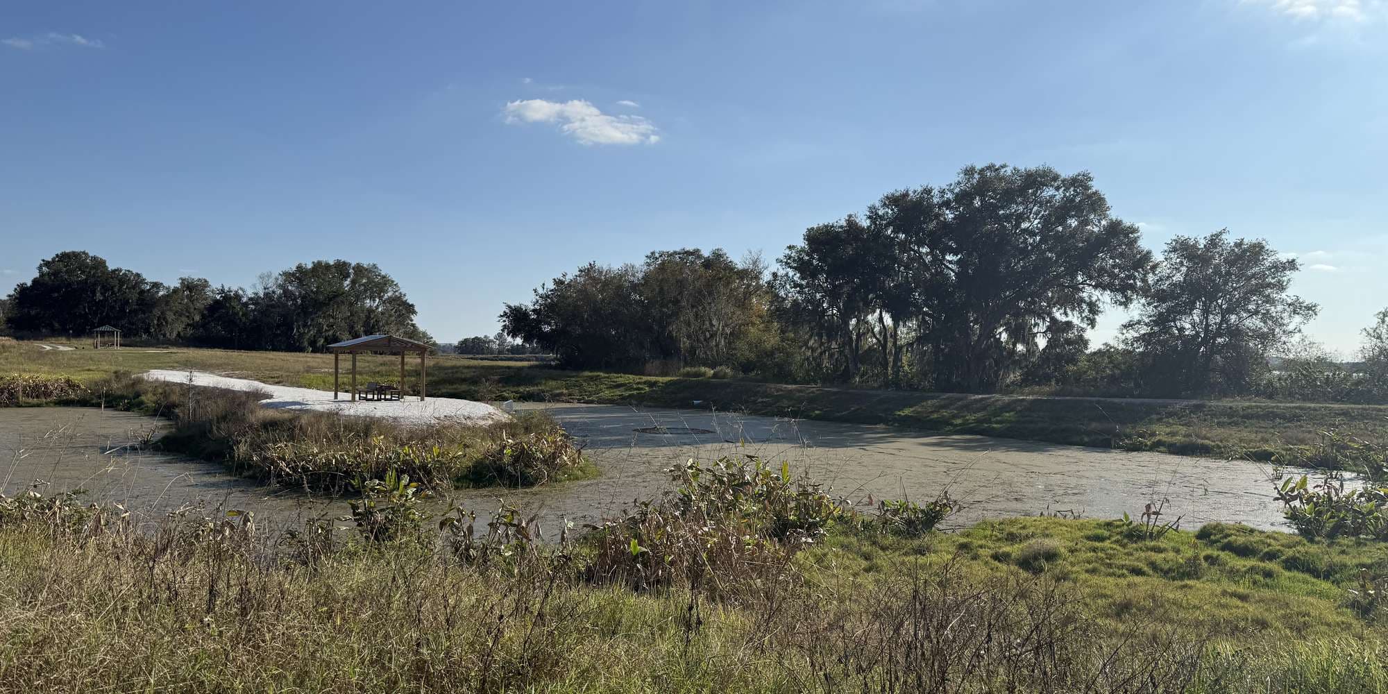 Second image to compare