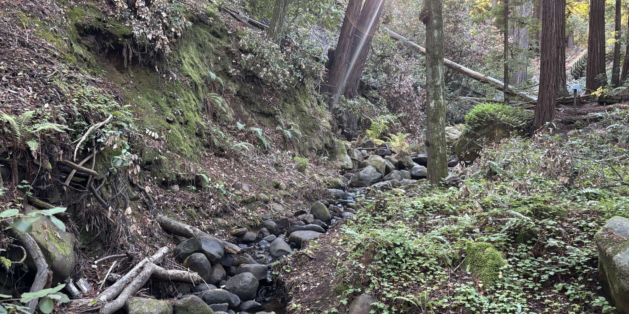 Second image to compare