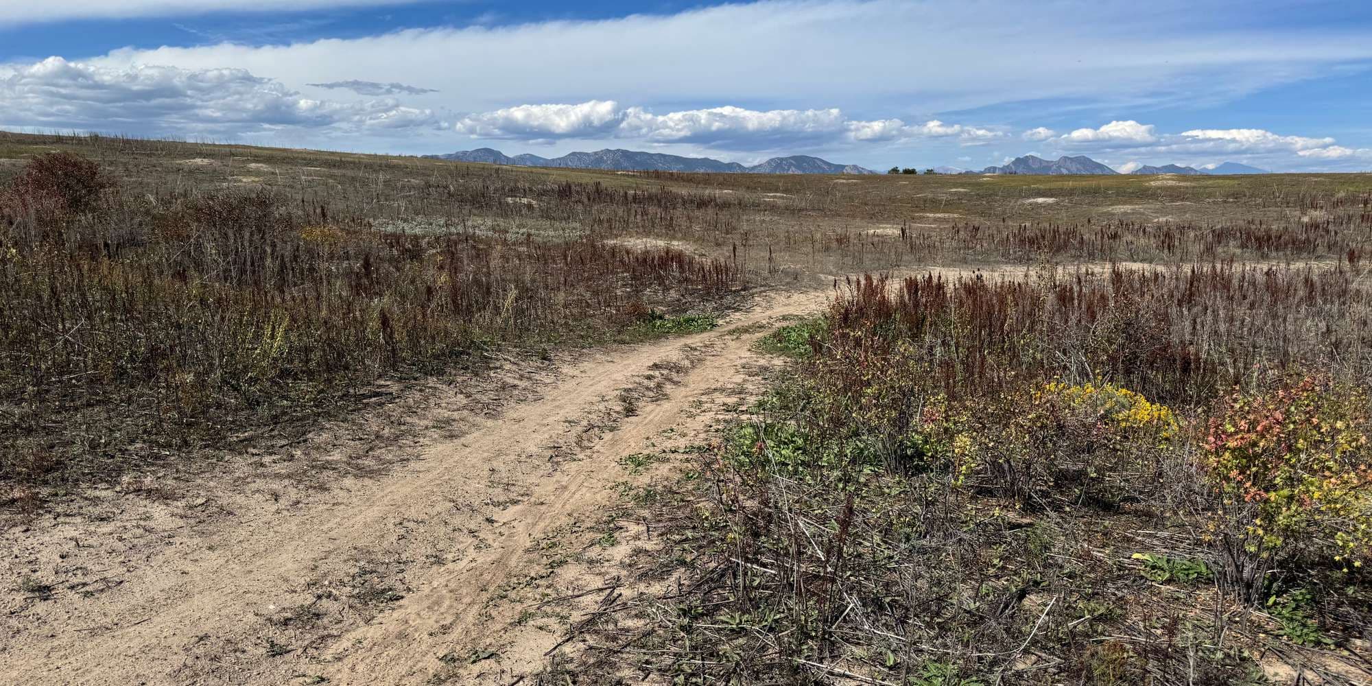 Second image to compare