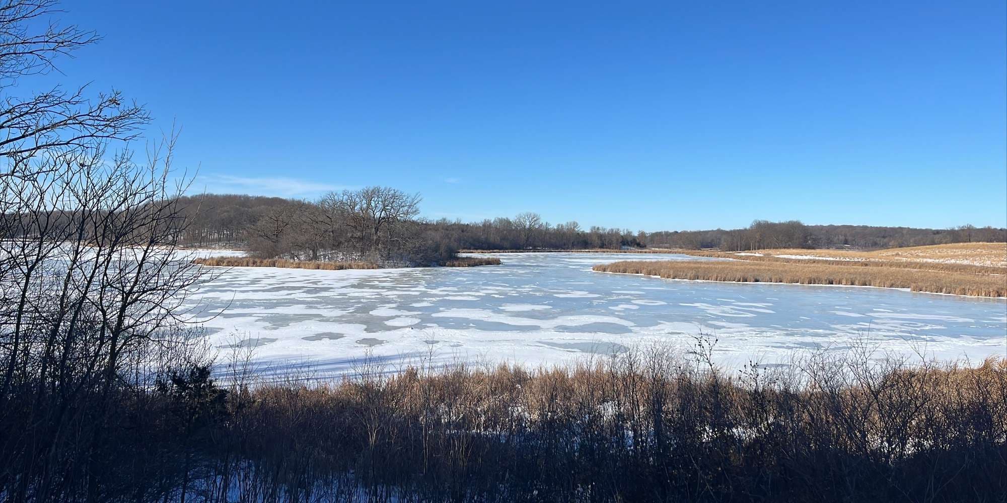 Second image to compare