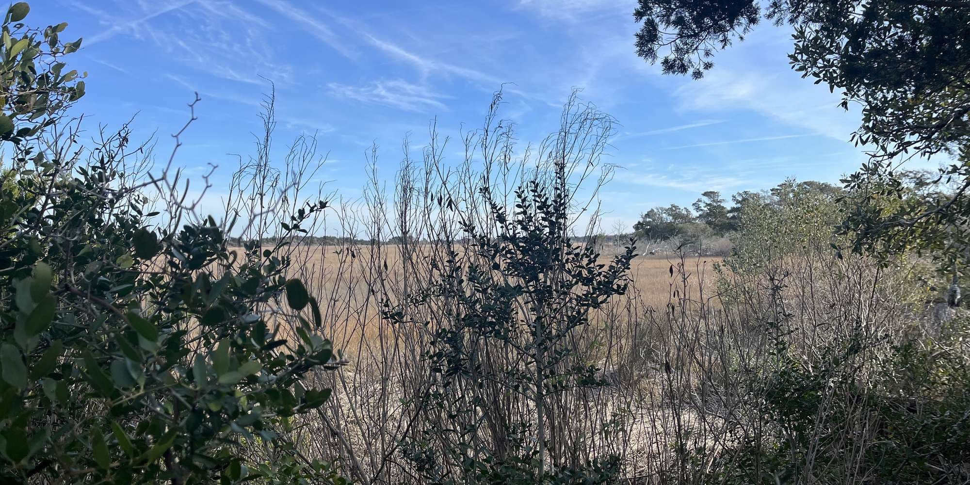 Second image to compare