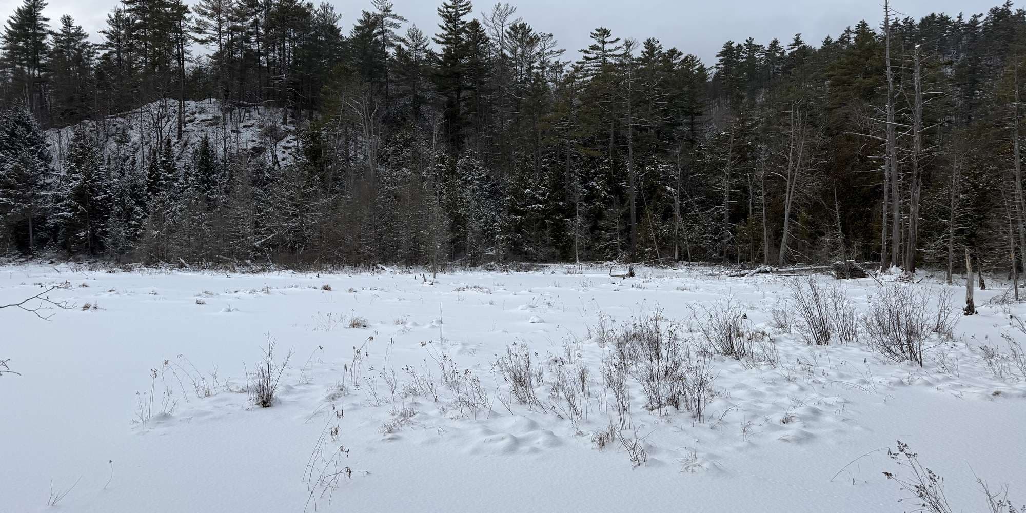 Second image to compare