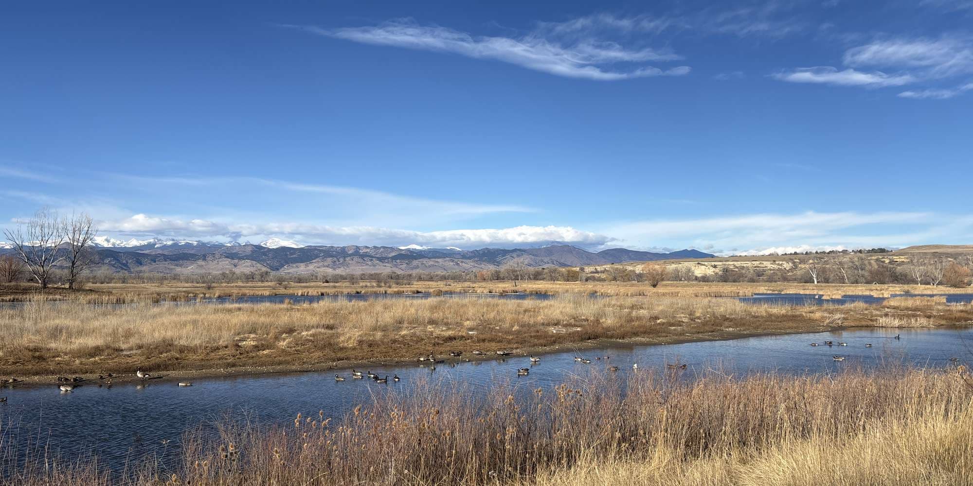 Second image to compare