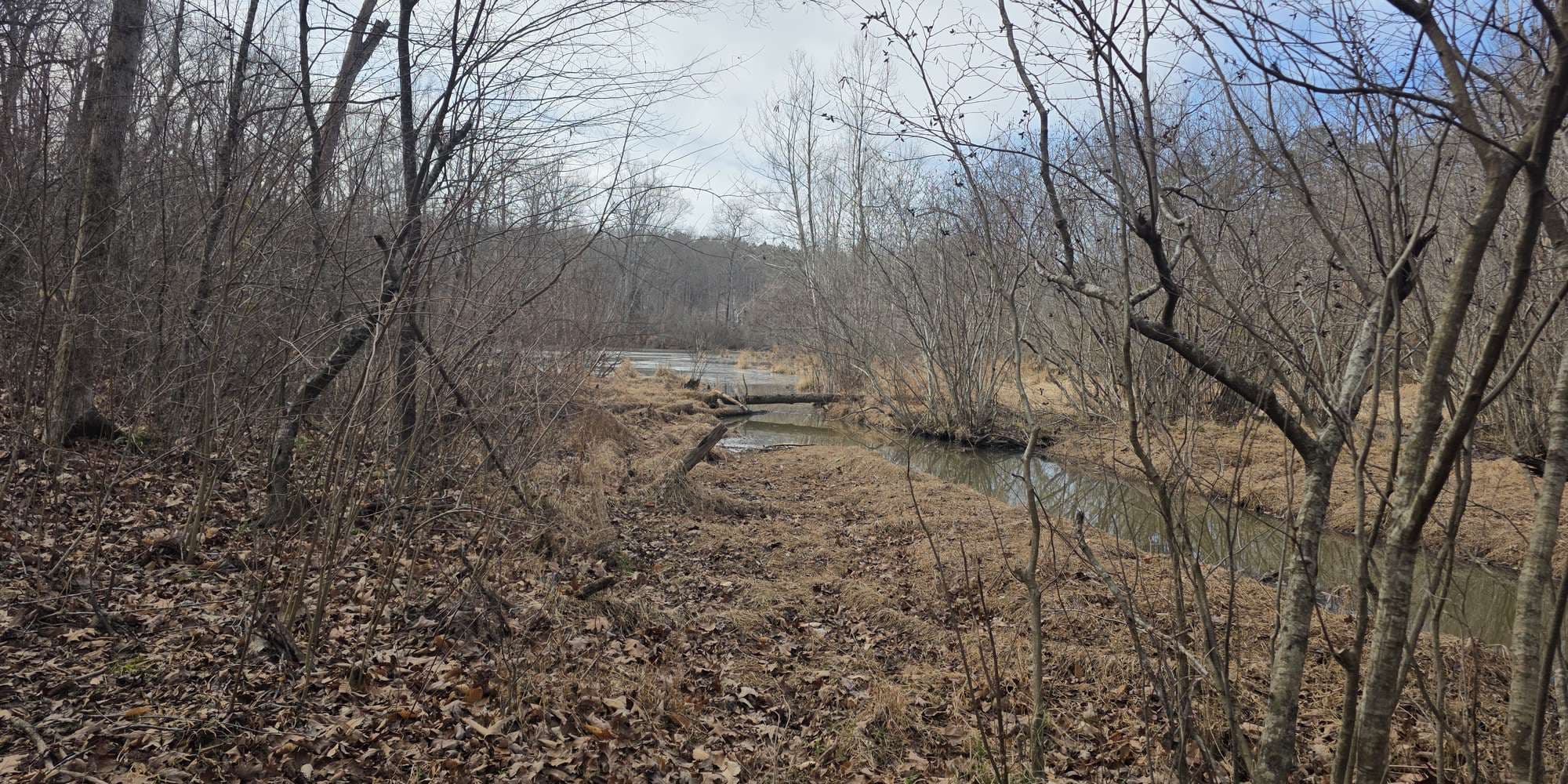 Second image to compare