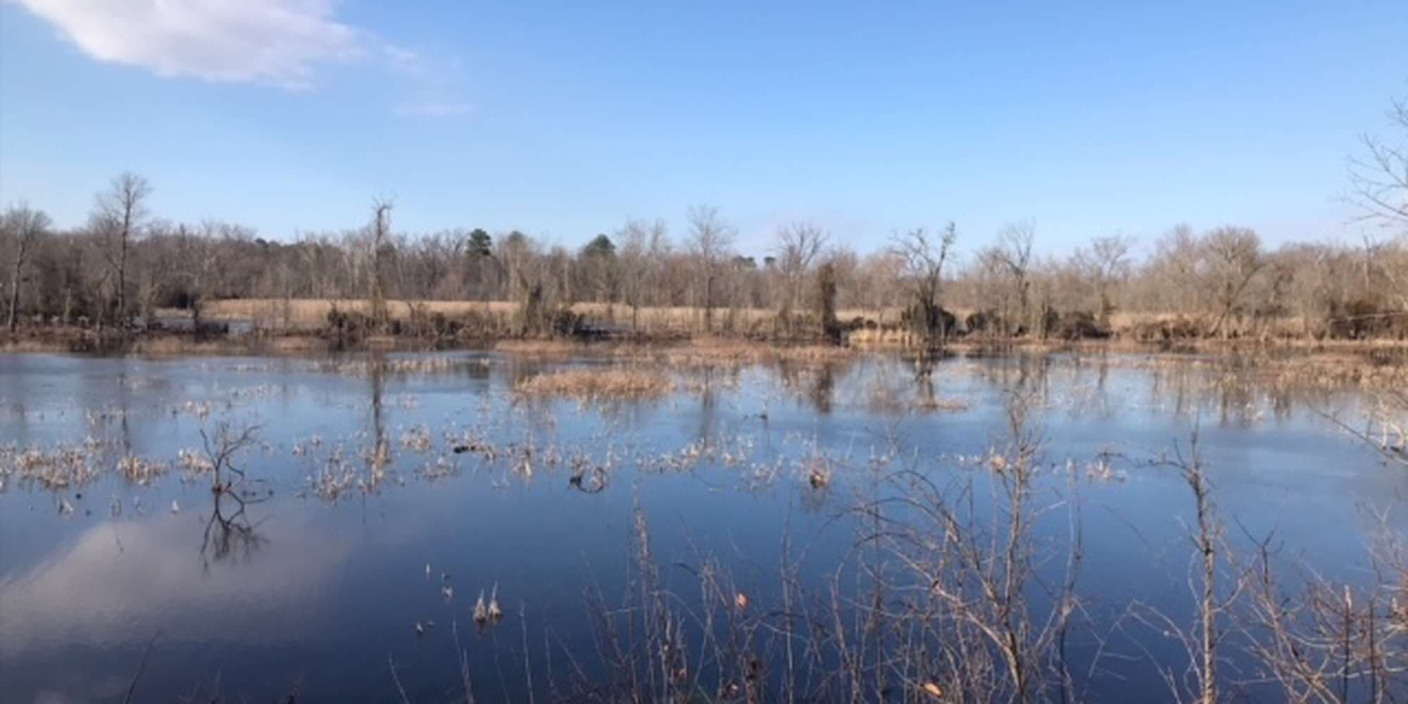 First image to compare