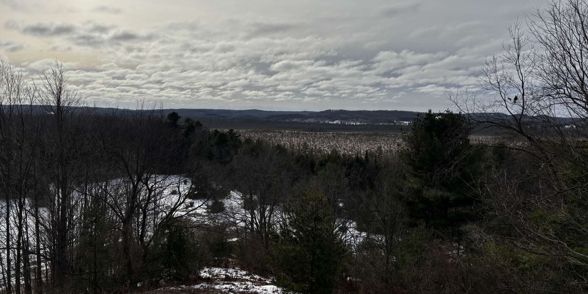 Second image to compare