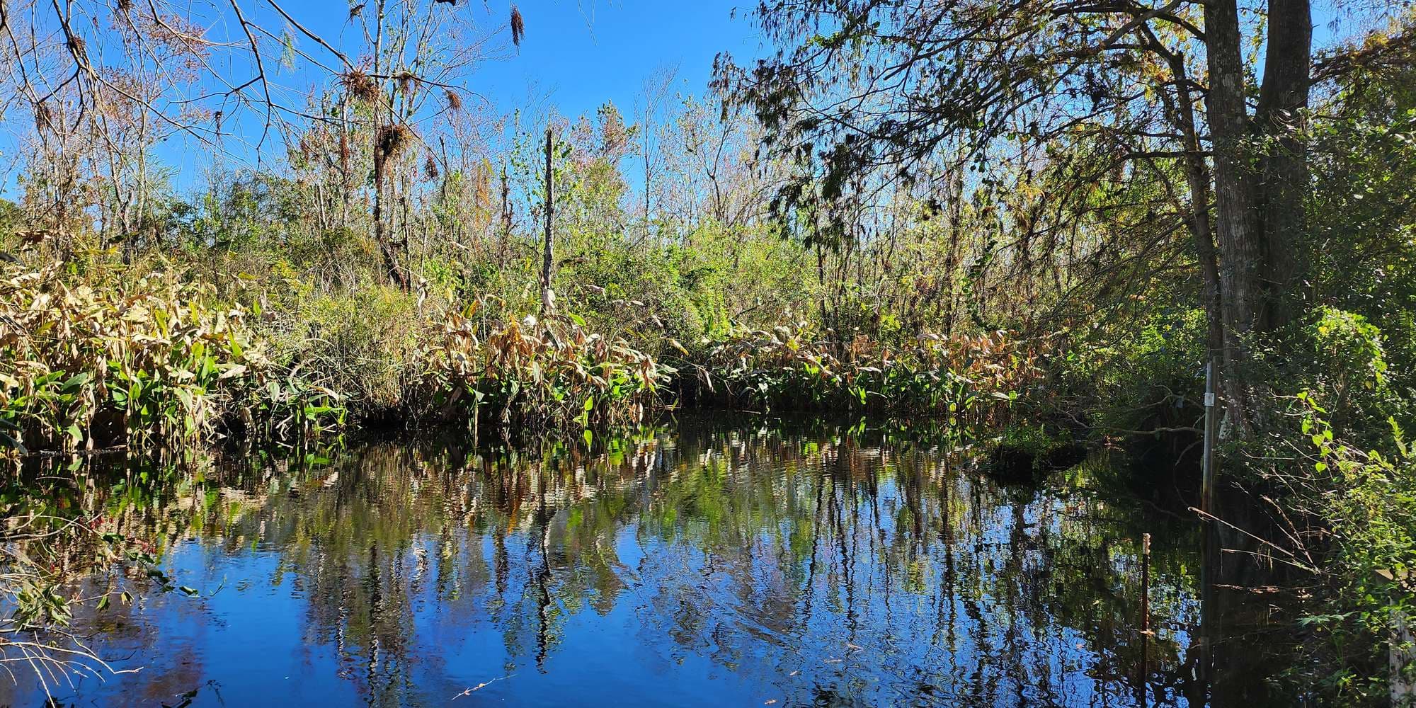 Second image to compare