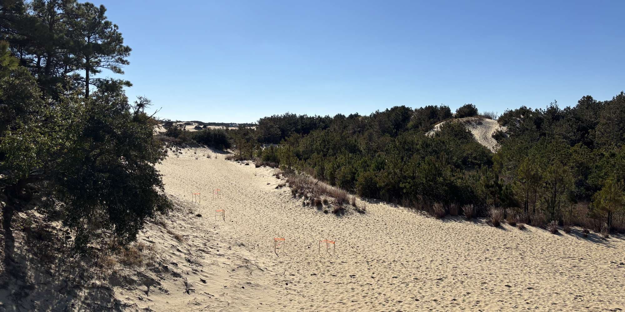 Second image to compare